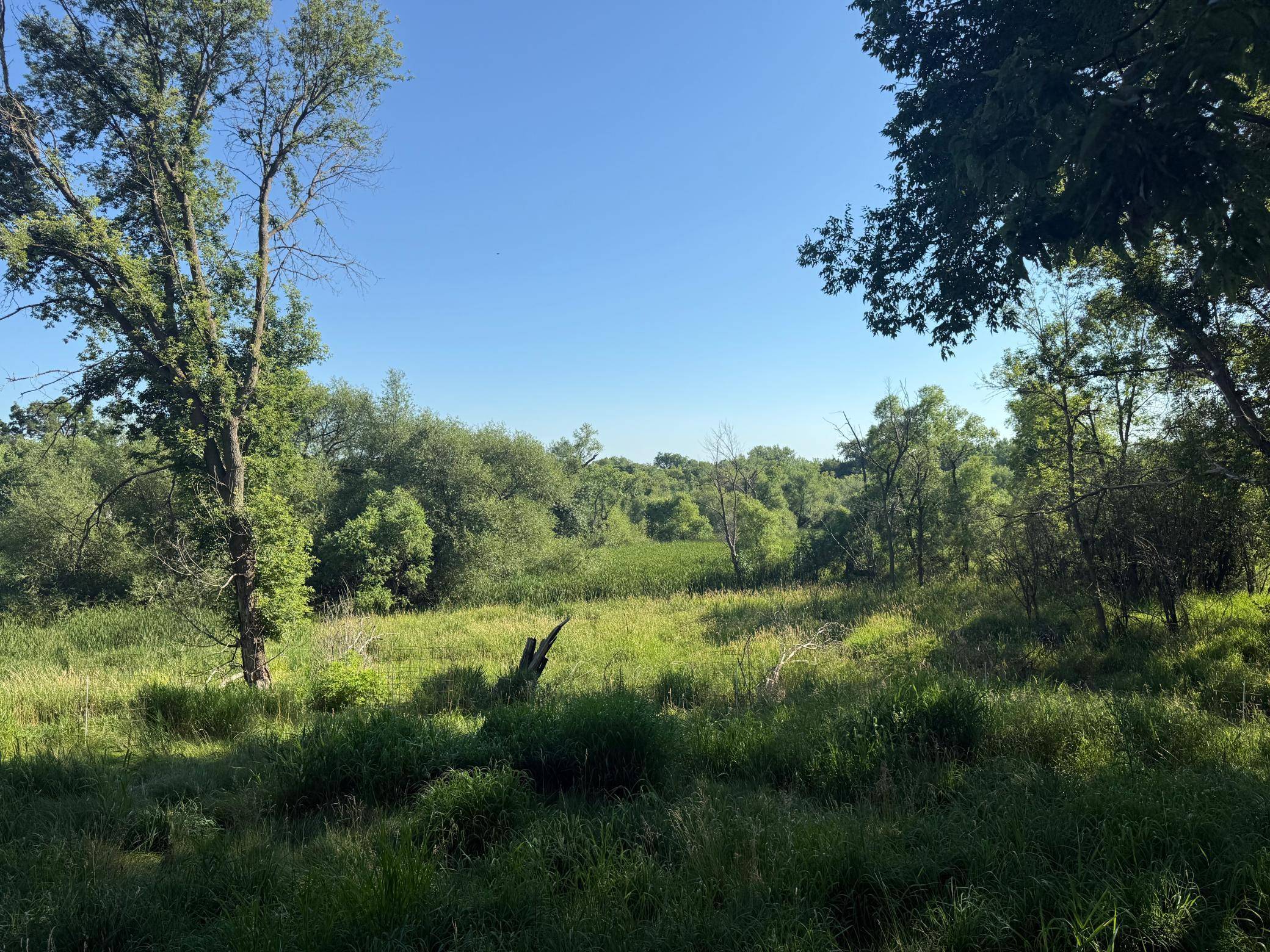 130 10th AVE NW, Glenwood, MN 56334