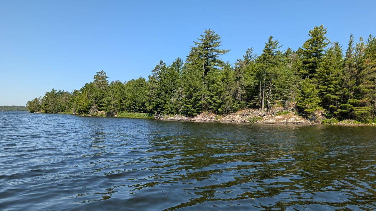 7952 Highway 24, Orr, MN 55771