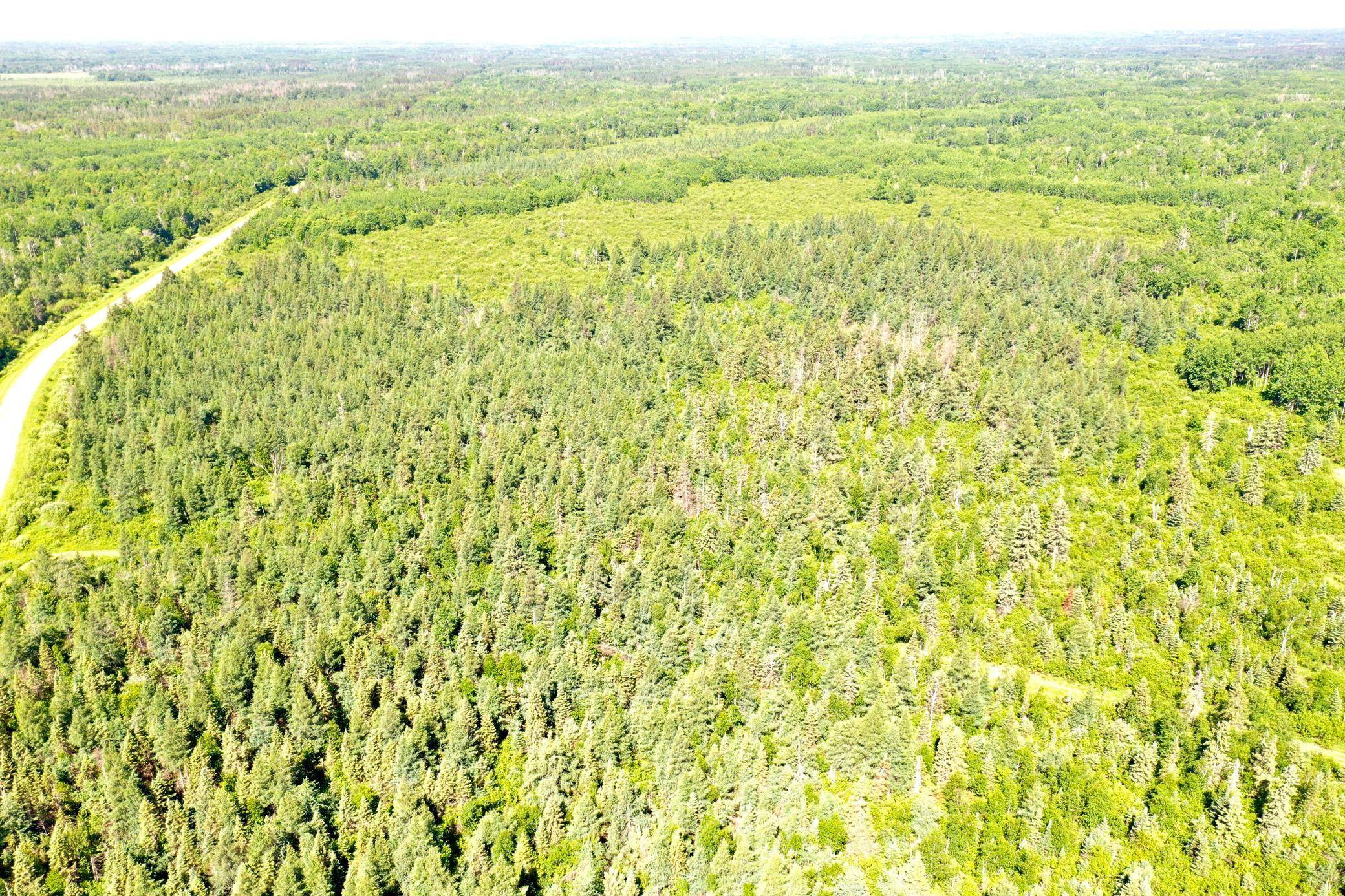 2359 County Road 8, Holyoke, MN 55749