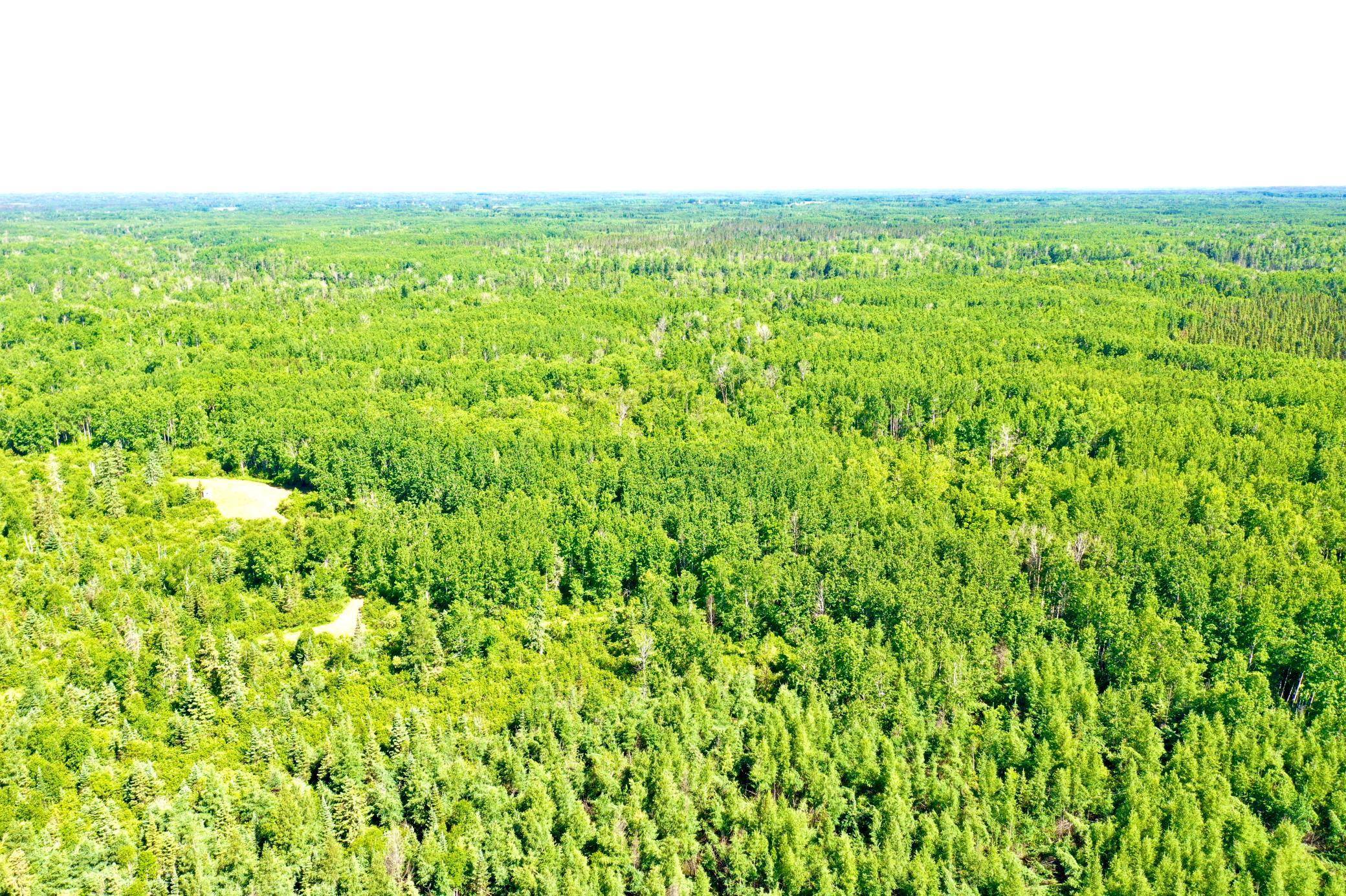 2359 County Road 8, Holyoke, MN 55749