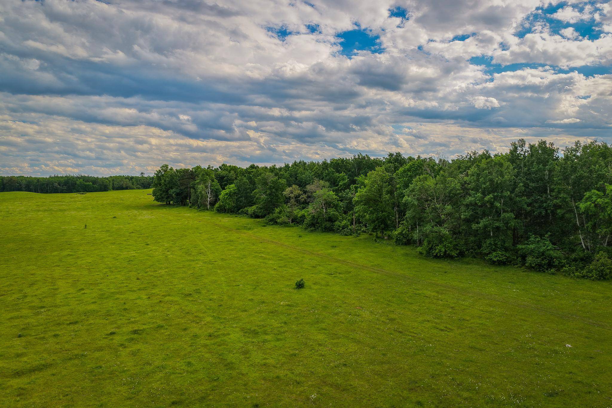 320th 320th, Shevlin, MN 56676