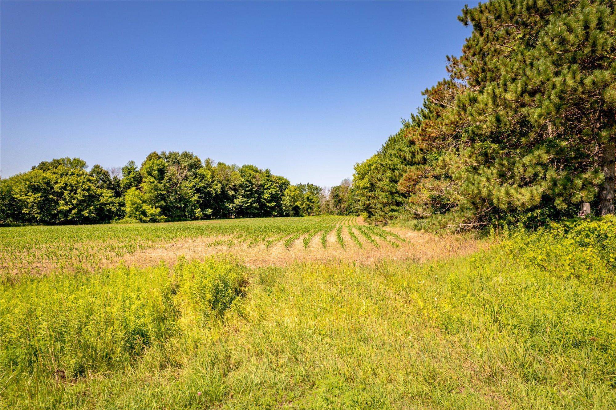 XXX Sugarbush Road, Nowthen, MN 55330