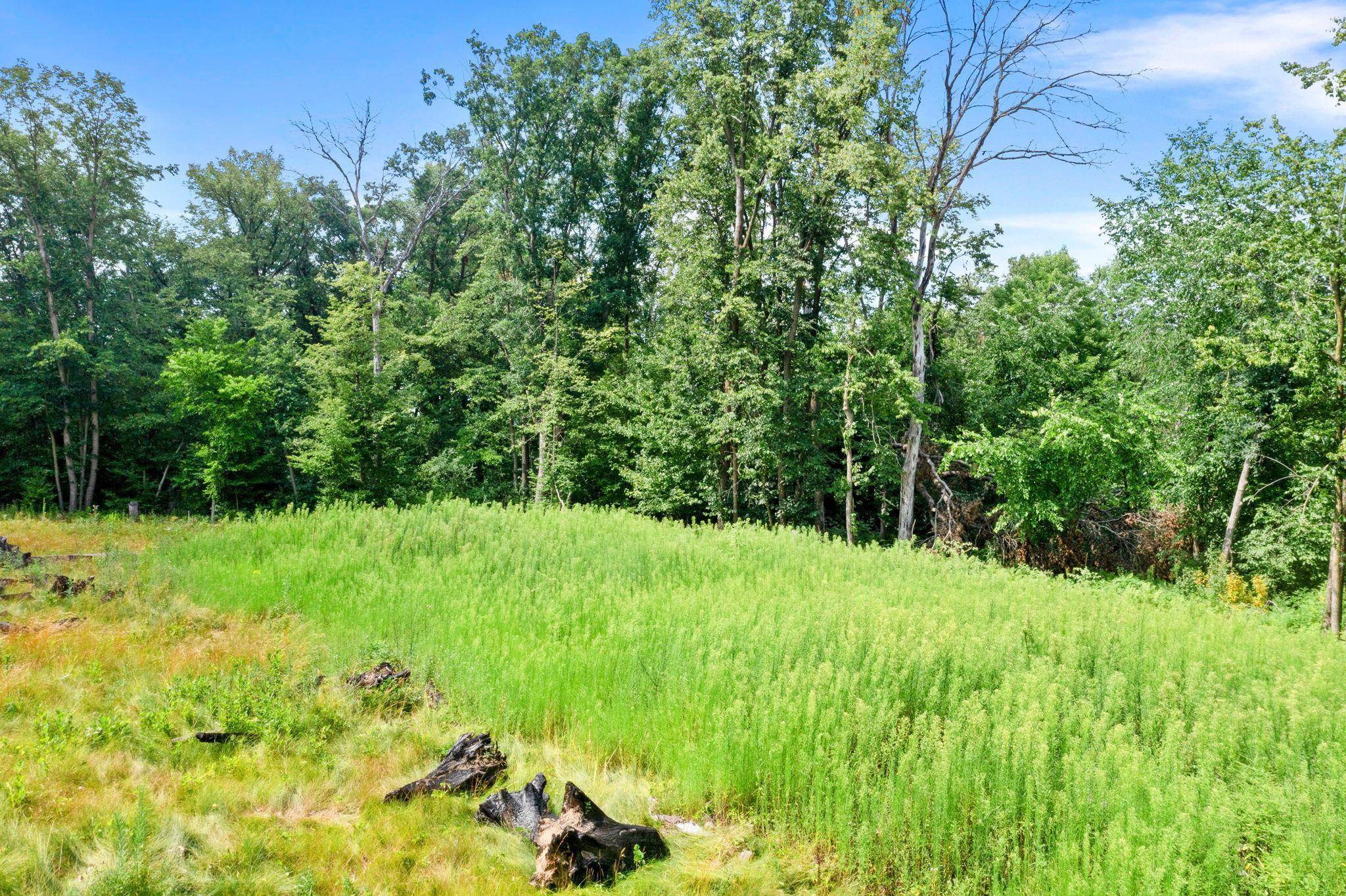 1850 Klondike DR NE, Cedar, MN 55011