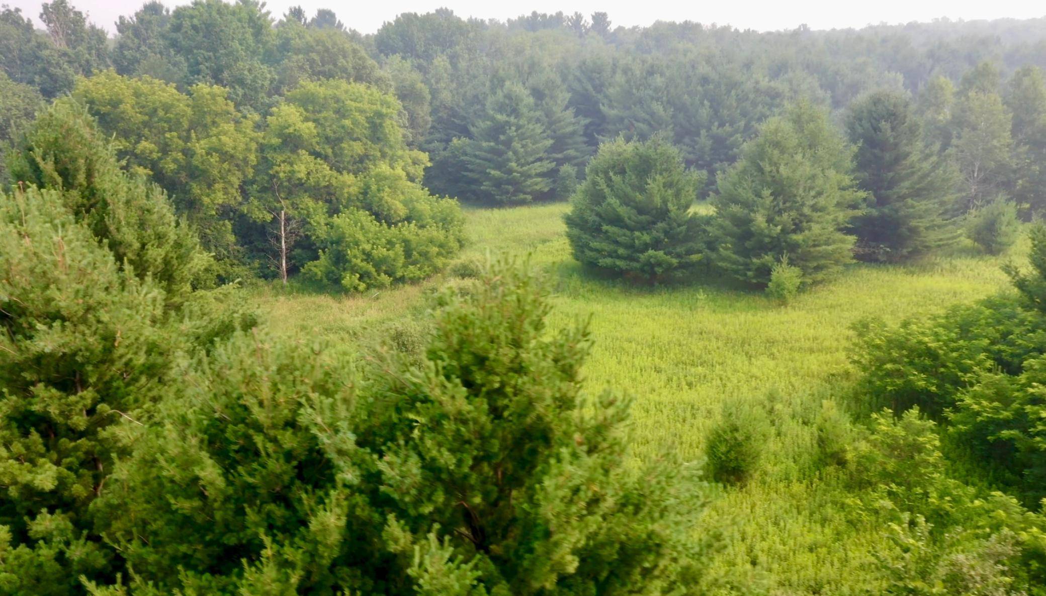 1256 Rice ST, Braham, MN 55006
