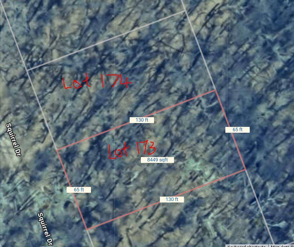 xxx TBD Lots 173 & 174 Squirrel Drive, Breezy Point, MN 56472