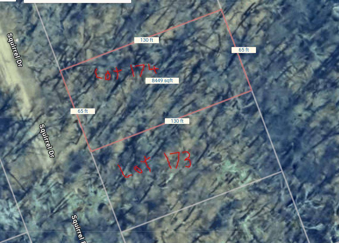 xxx TBD Lots 173 & 174 Squirrel Drive, Breezy Point, MN 56472