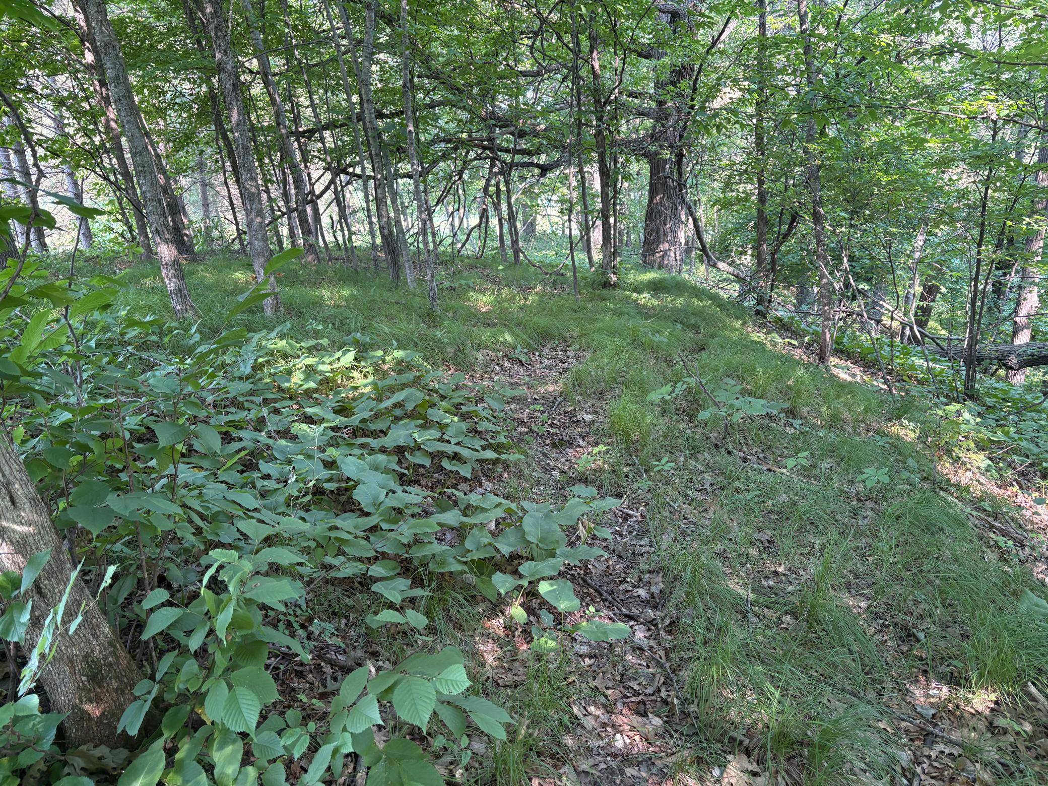 320th 320th ST, Browerville, MN 56438