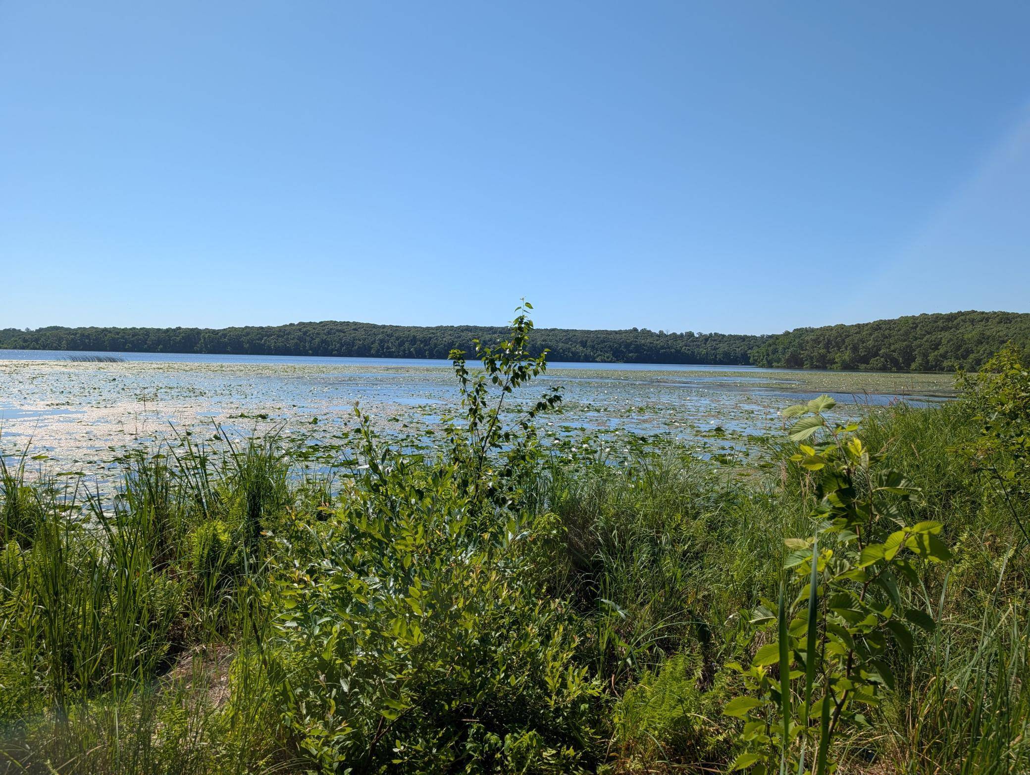 3223 Sebie Lake RD, Fort Ripley, MN 56449