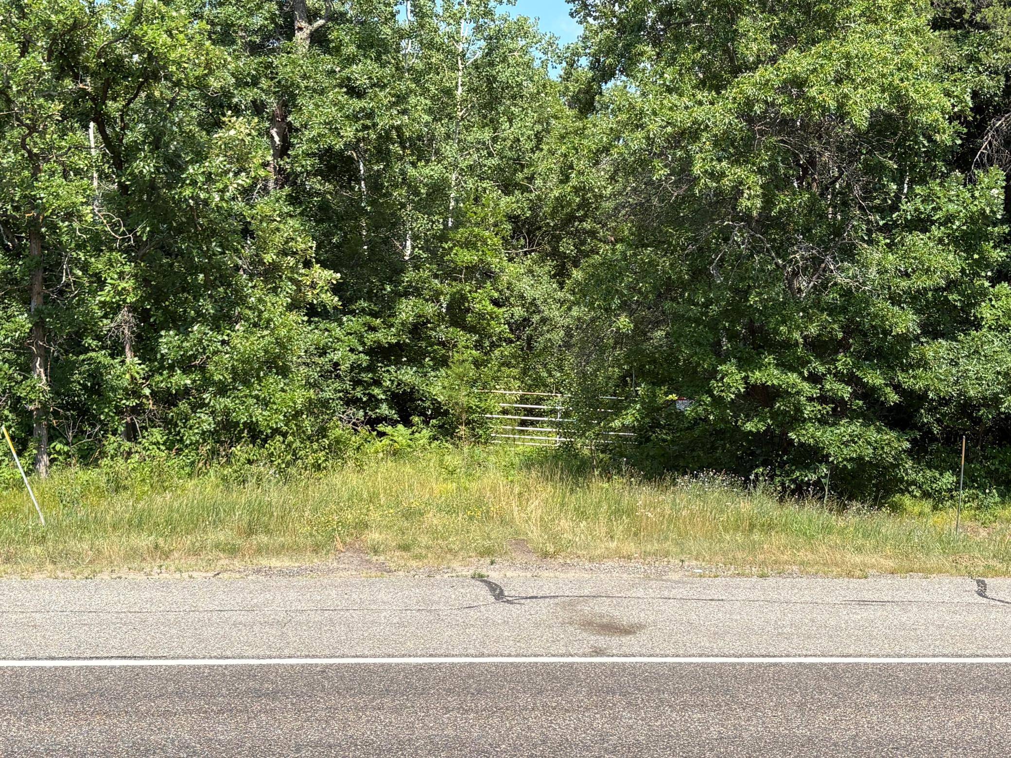 TBD (East side 371) Hwy 371 (East Side), Jenkins, MN 56472
