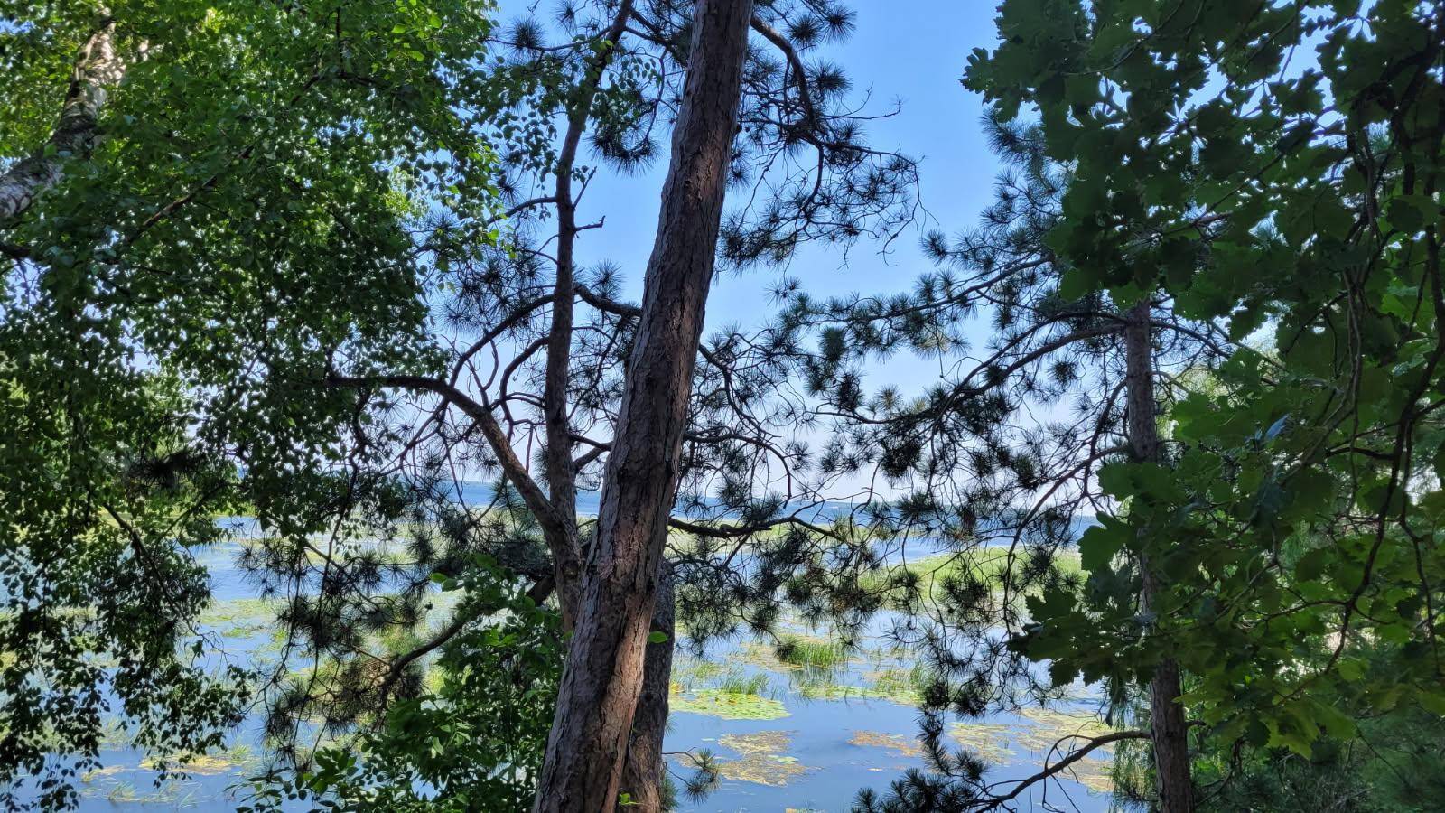 36803 Pine Knolls CIR, Pine River, MN 56474
