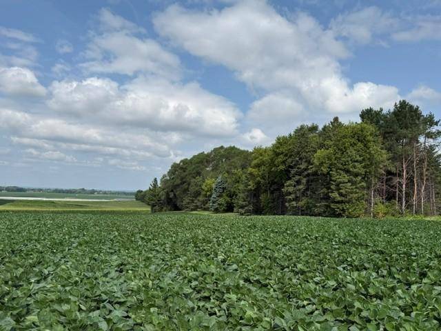 Lot A Lehigh Road, Cottage Grove, MN 55016