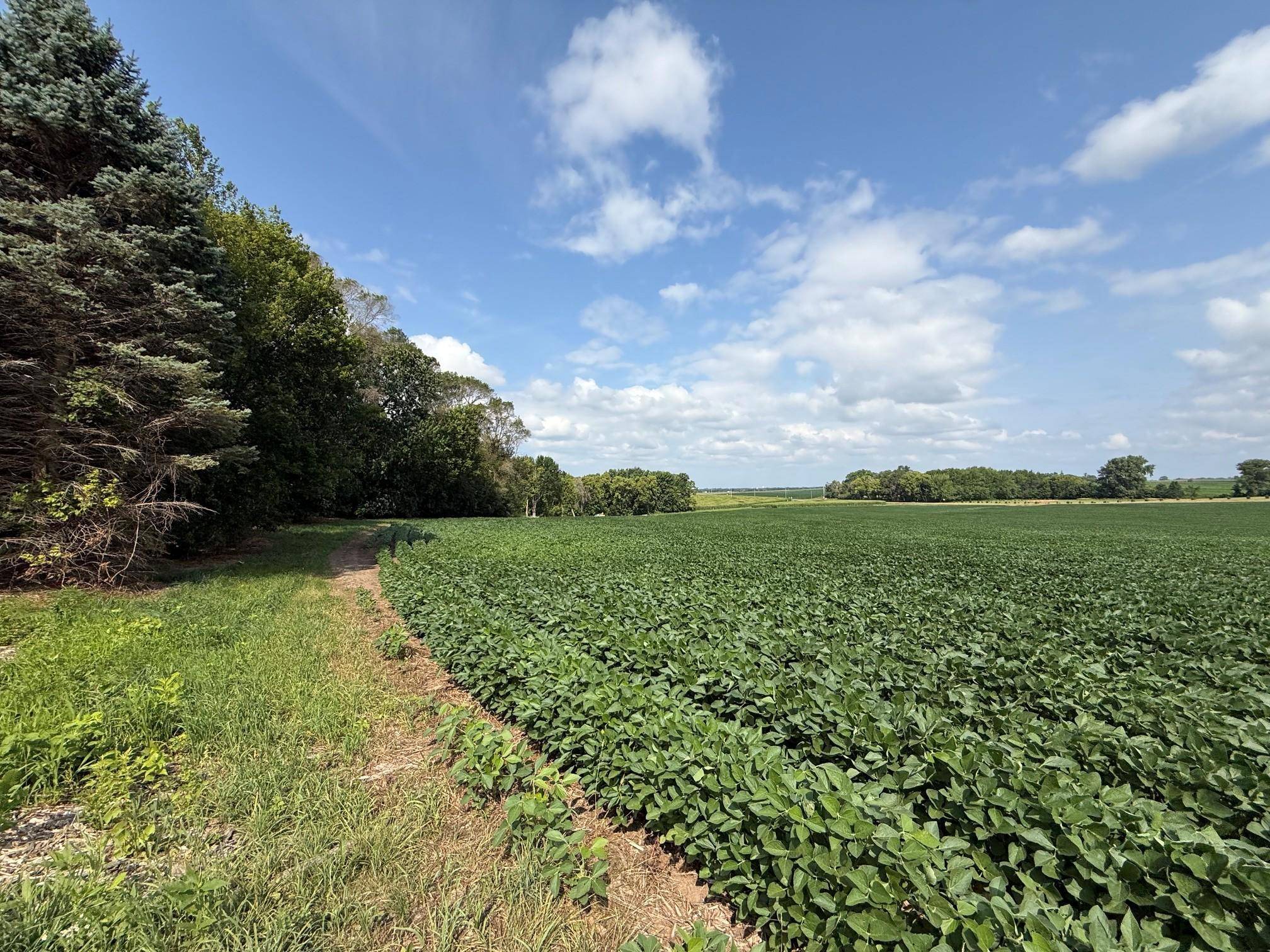 Lot A Lehigh Road, Cottage Grove, MN 55016
