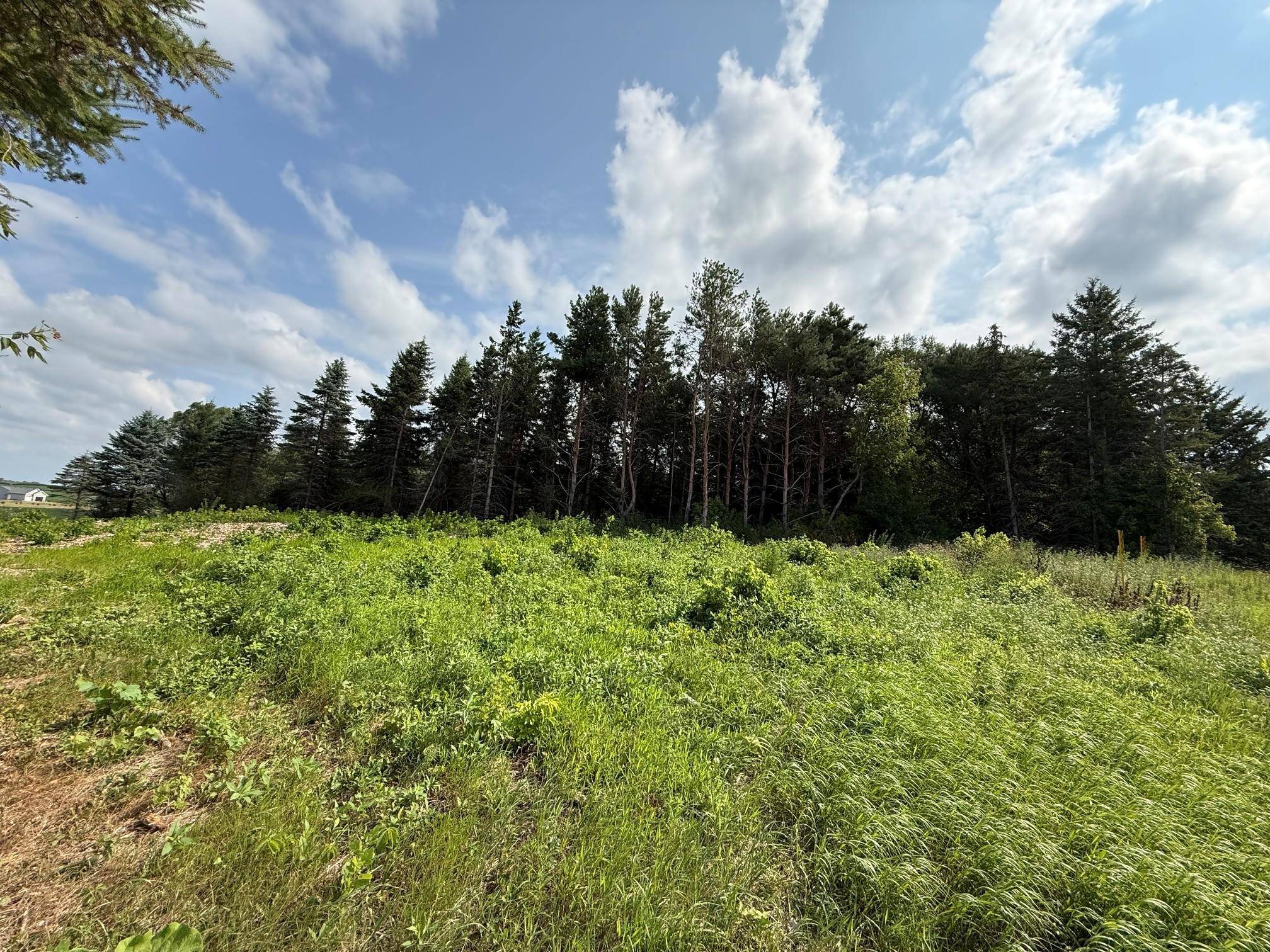 Lot B Lehigh Road, Cottage Grove, MN 55016
