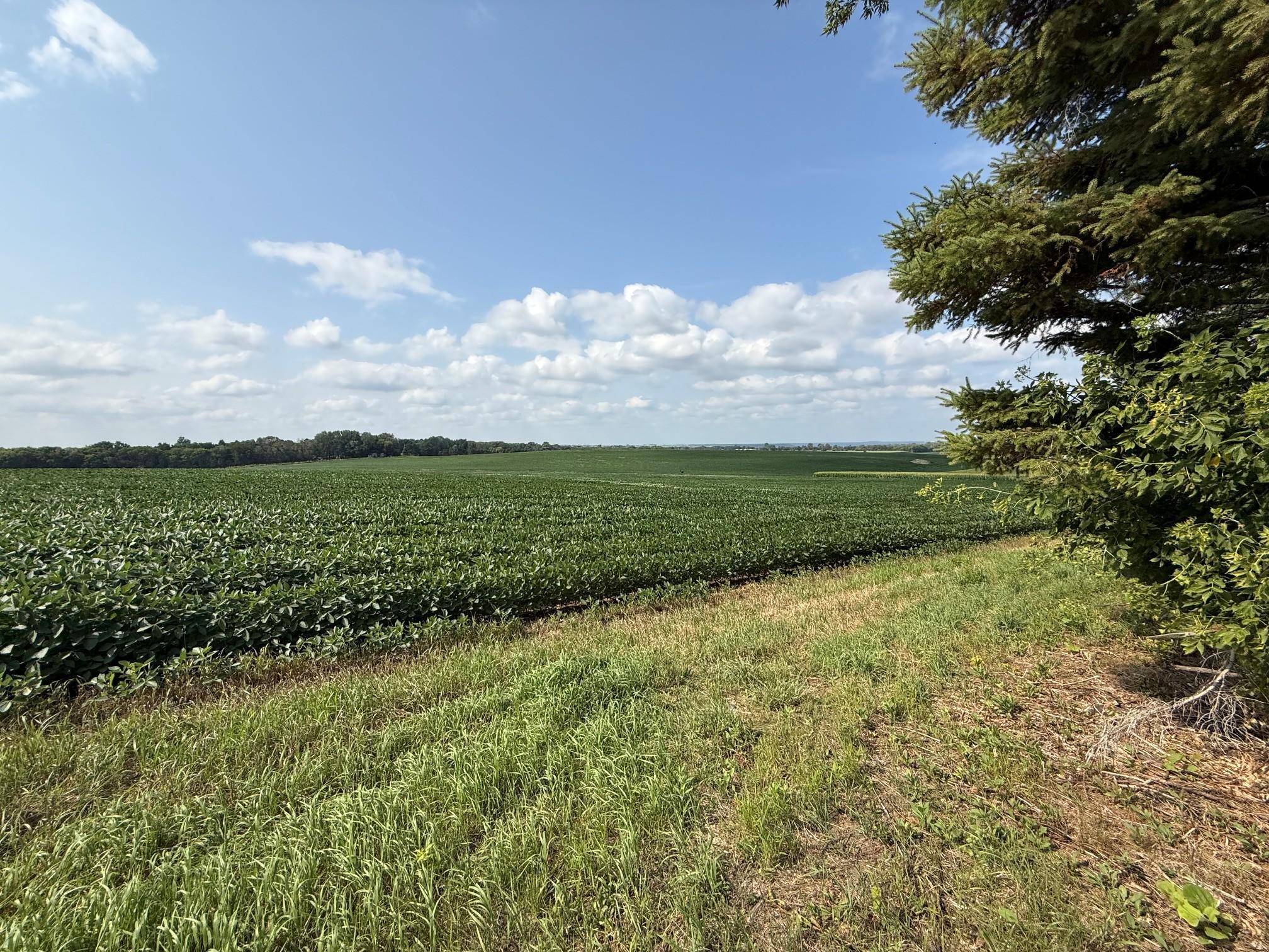 Lot B Lehigh Road, Cottage Grove, MN 55016