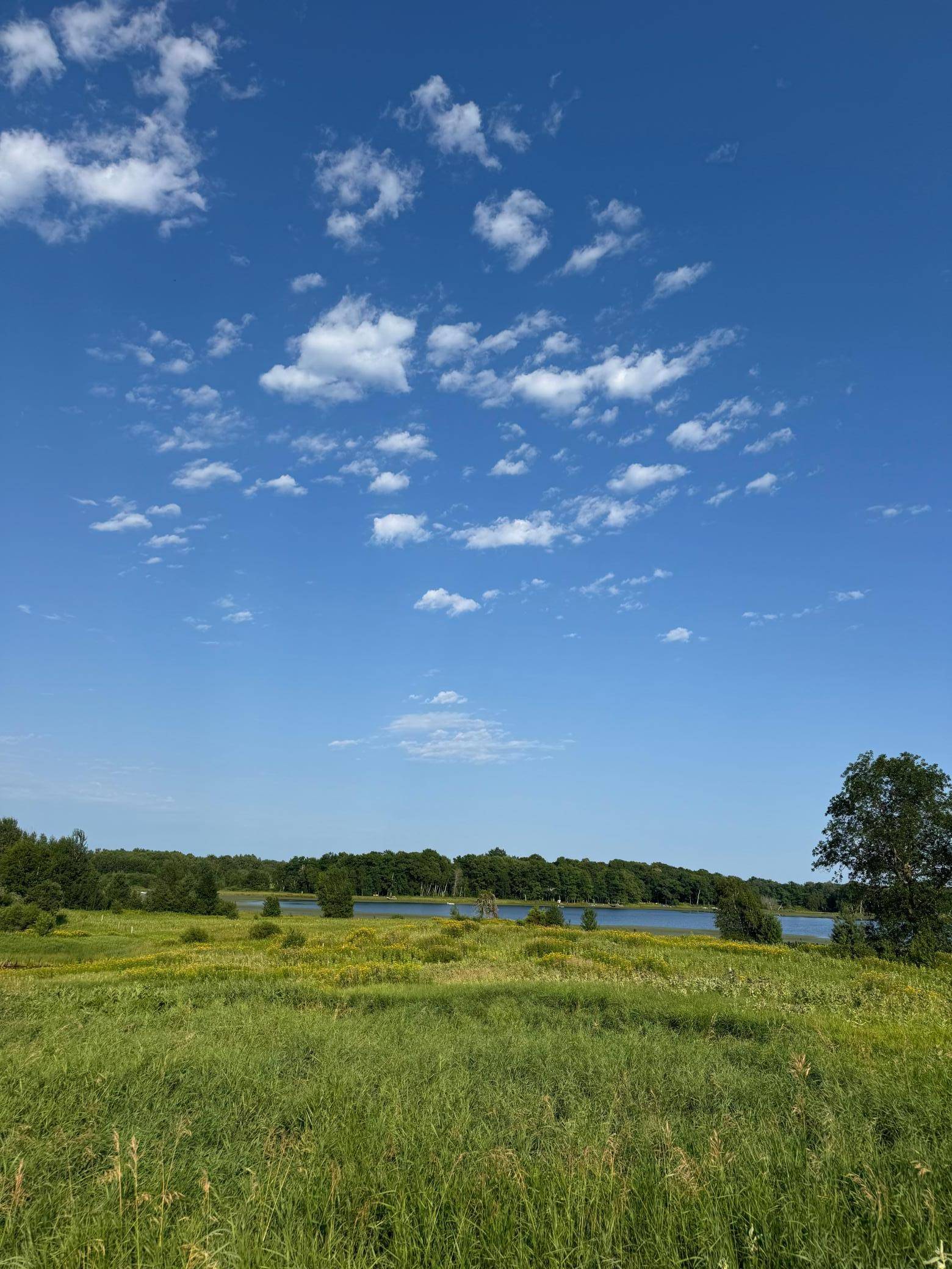 TBD 256th Lane, Aitkin, MN 56431