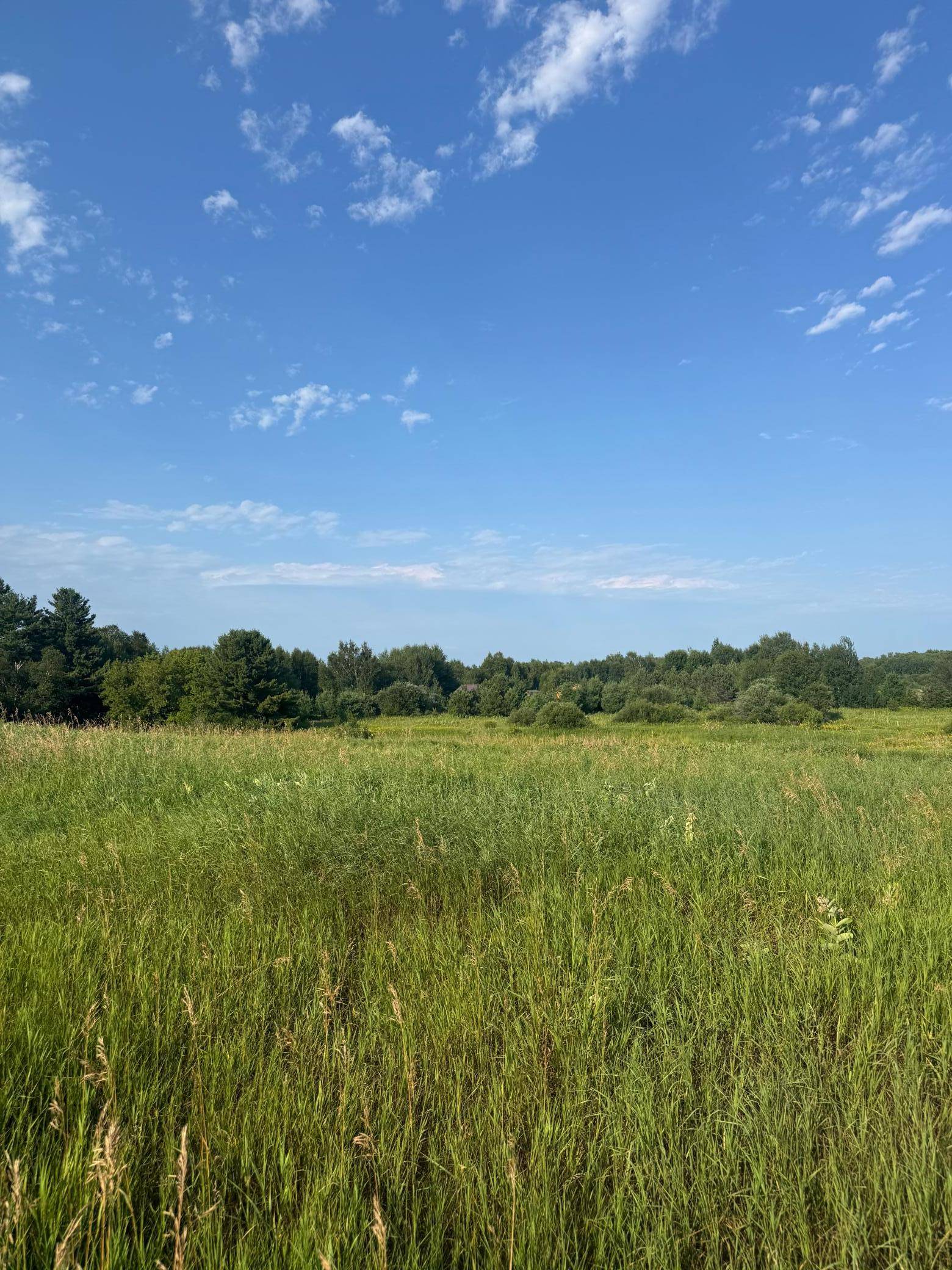 TBD 256th Lane, Aitkin, MN 56431