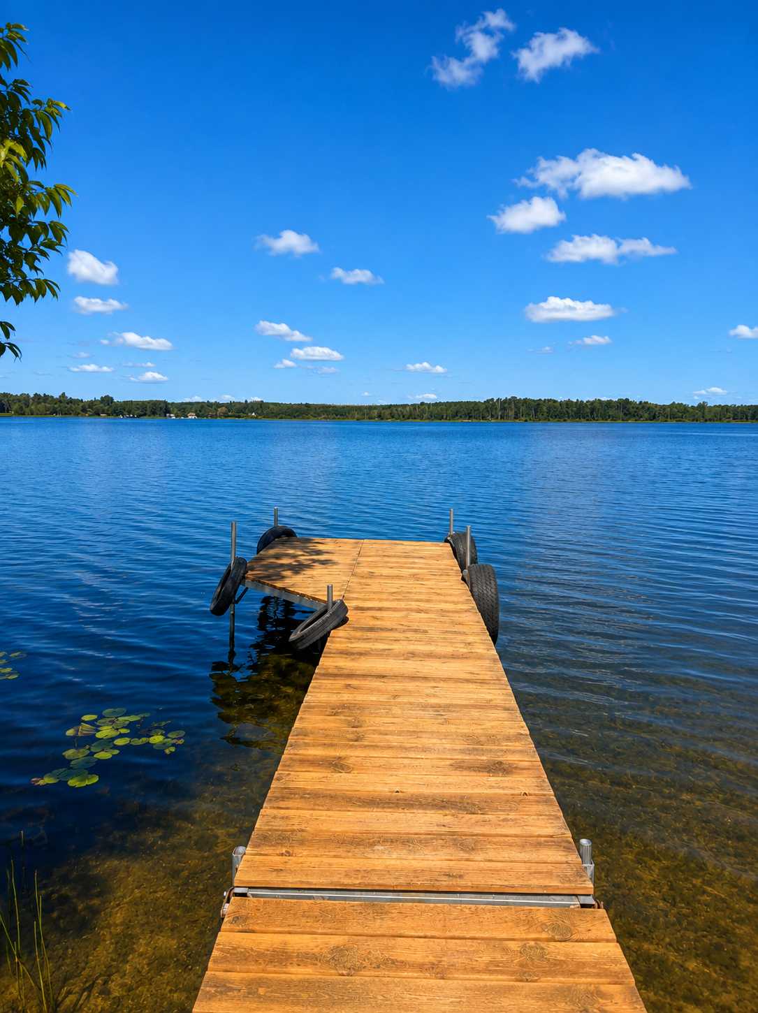 49410 Center Point Road, Bigfork, MN 56628