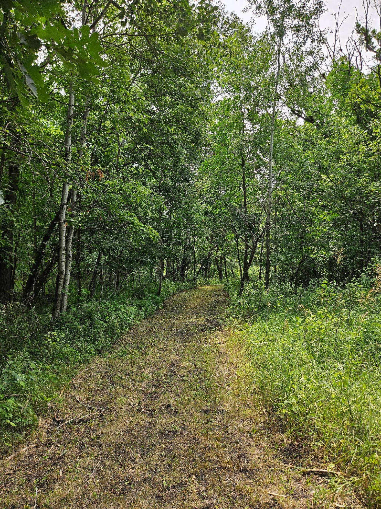 14542 260th ST S, Hawley, MN 56549