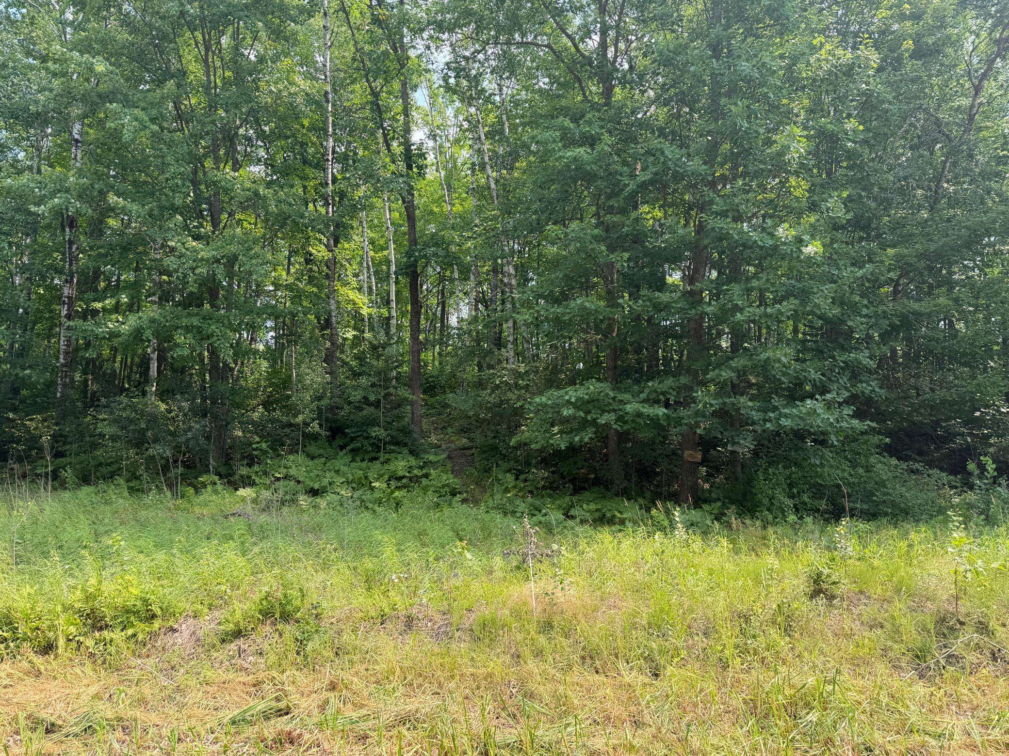 TBD Shady Pine RD, Bruno, MN 55712
