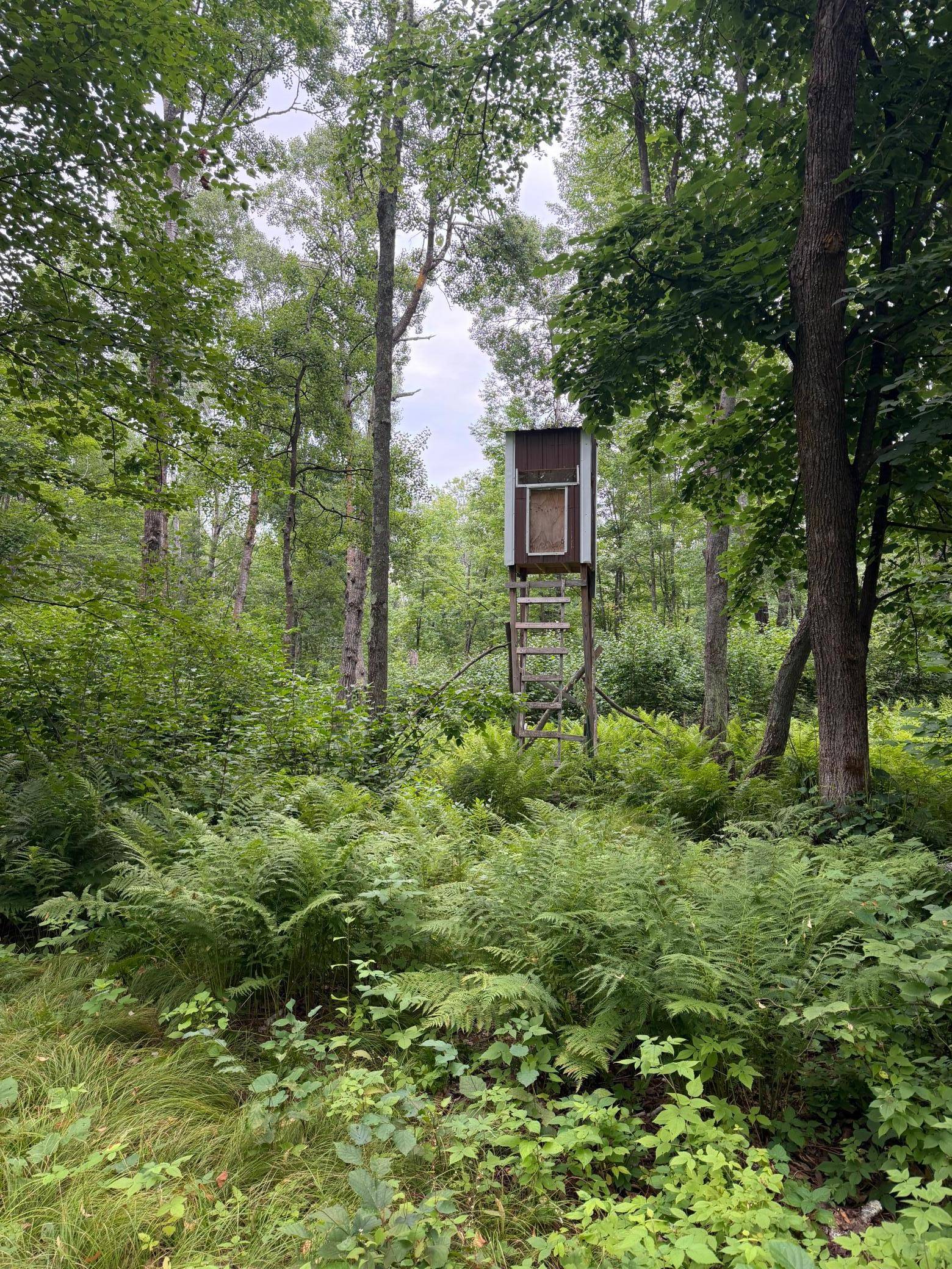 TBD Shady Pine RD, Bruno, MN 55712