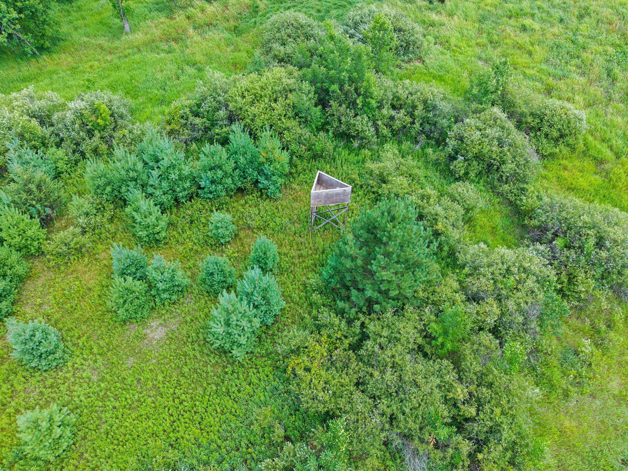 Lot 1 321st AVE NW, Princeton, MN 55371