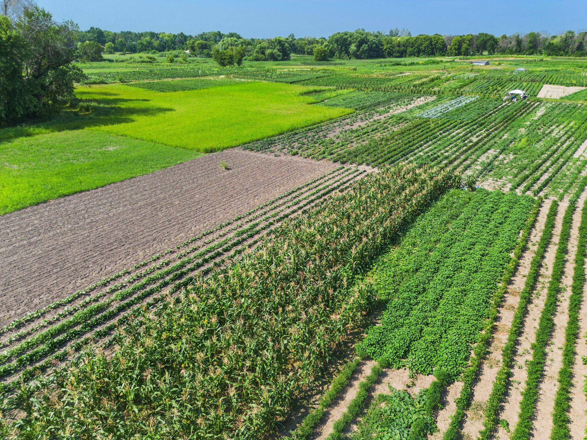 10625 County Road 116, Corcoran, MN 55374