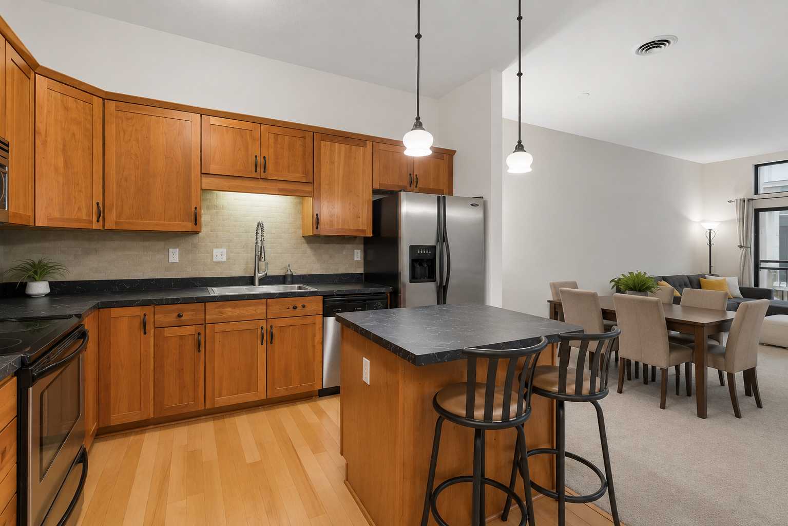 270 4th ST E #203, Saint Paul, MN 55101