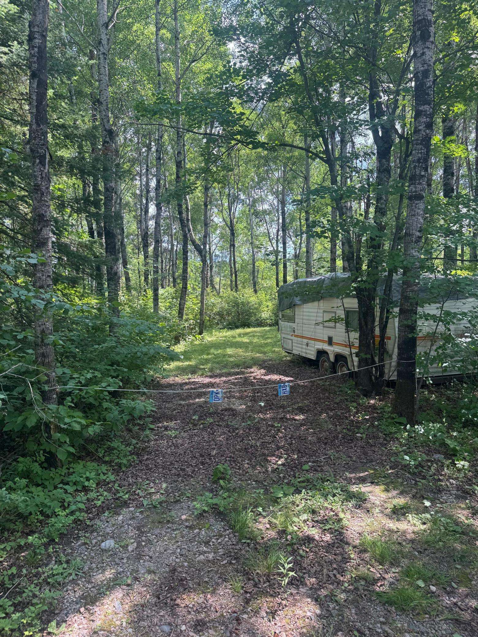 TBD1.2 Orr Buyck Road RD, Buyck, MN 55771