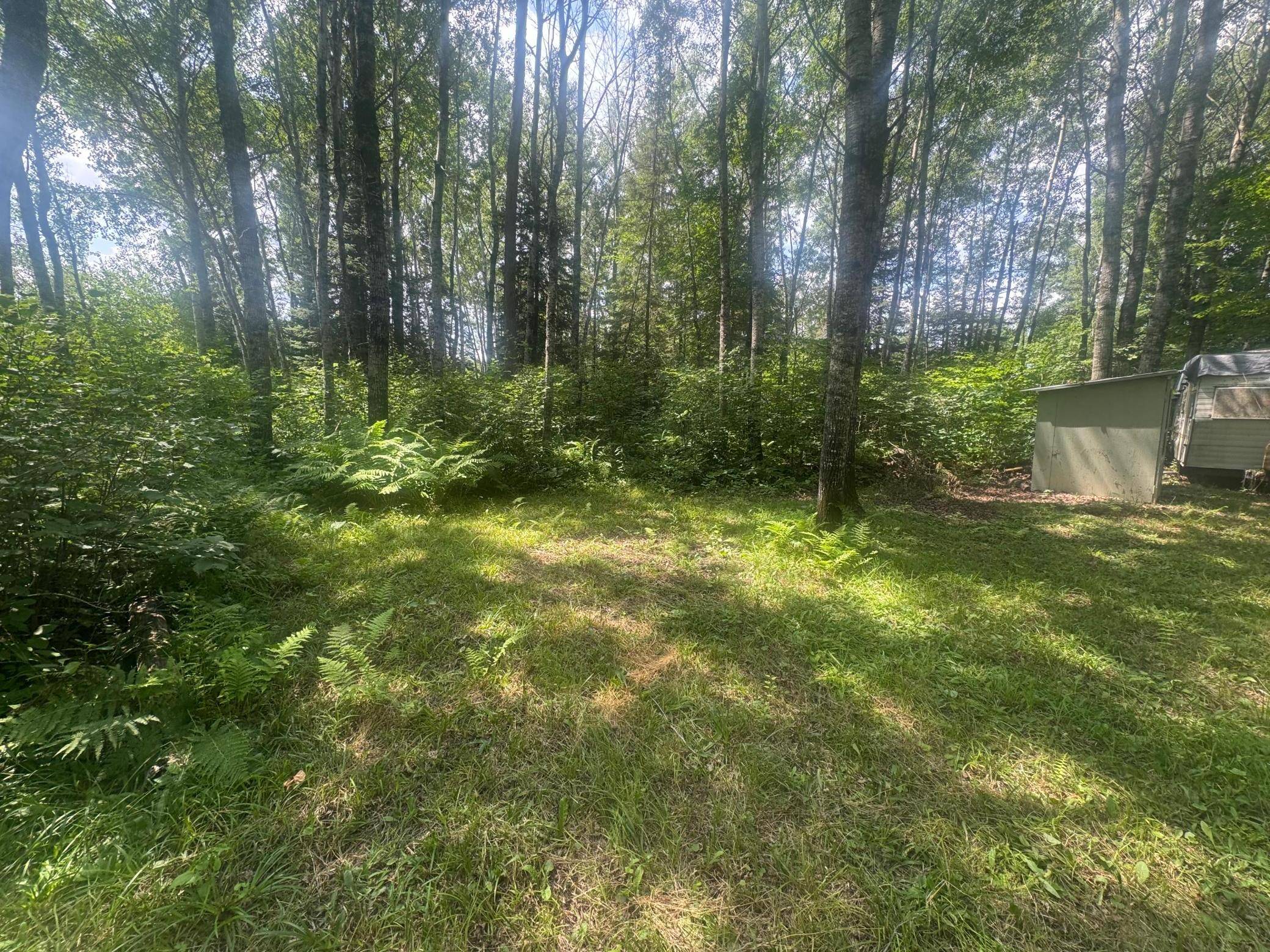 TBD1.2 Orr Buyck Road RD, Buyck, MN 55771