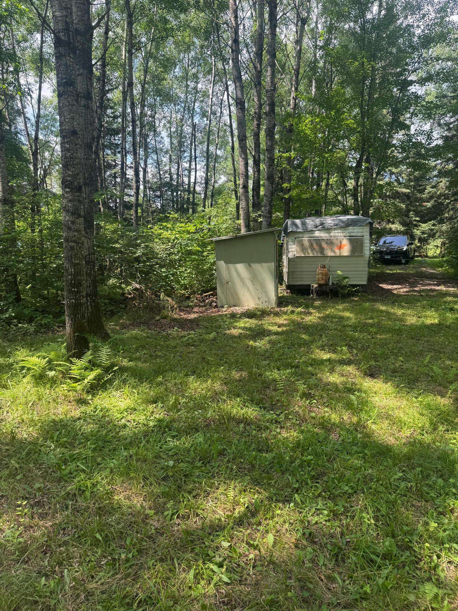 TBD1.2 Orr Buyck Road RD, Buyck, MN 55771