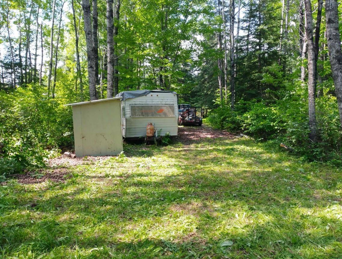 TBD1.2 Orr Buyck Road RD, Buyck, MN 55771