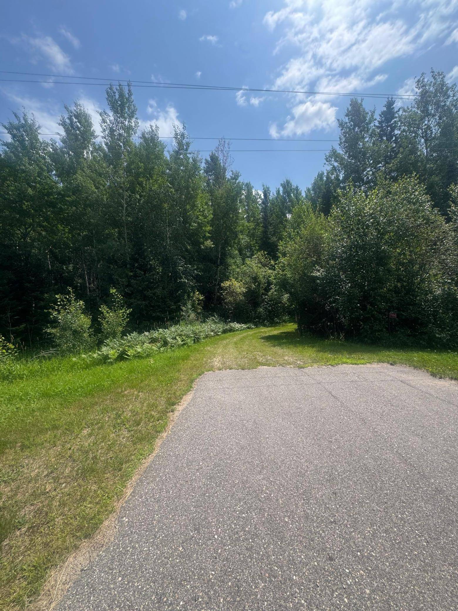 TBD1.2 Orr Buyck Road RD, Buyck, MN 55771