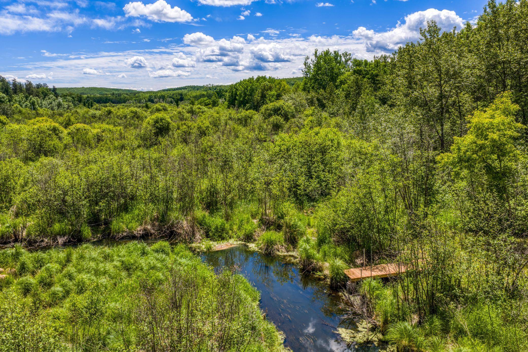 39332 Orchid TRL, Bemidji, MN 56461