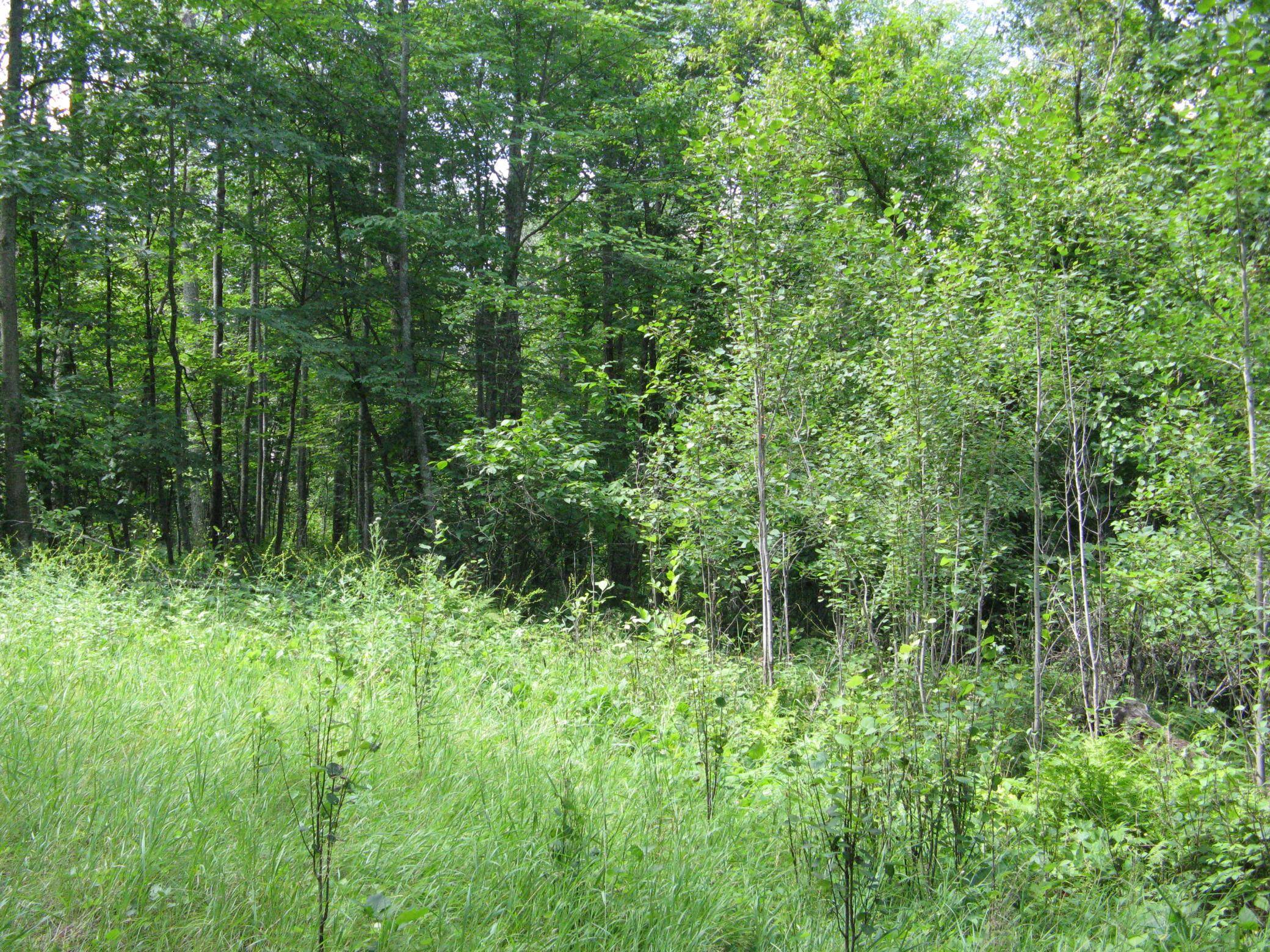 TBD Alpine CIR, Breezy Point, MN 56472