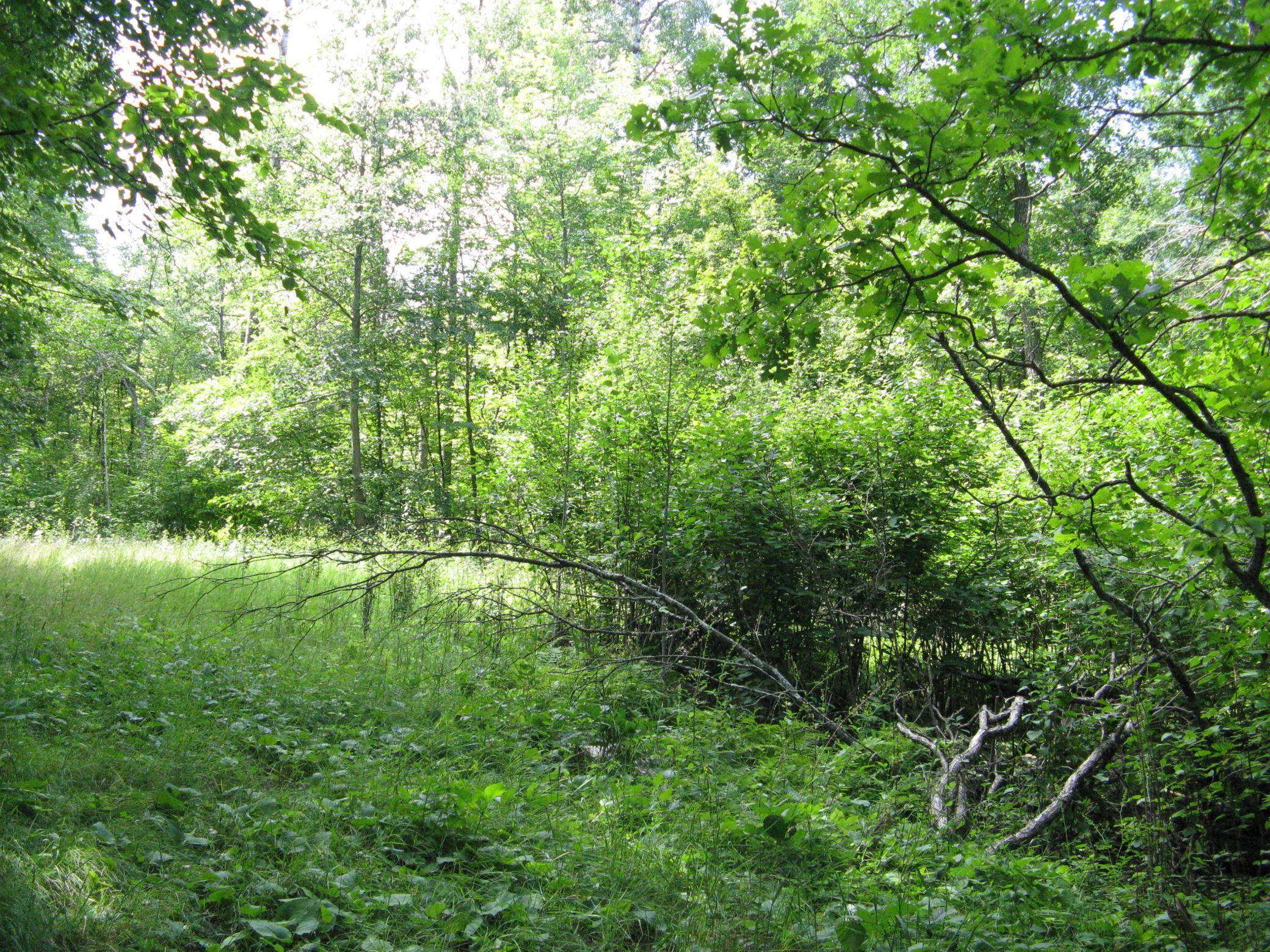 TBD Alpine CIR, Breezy Point, MN 56472