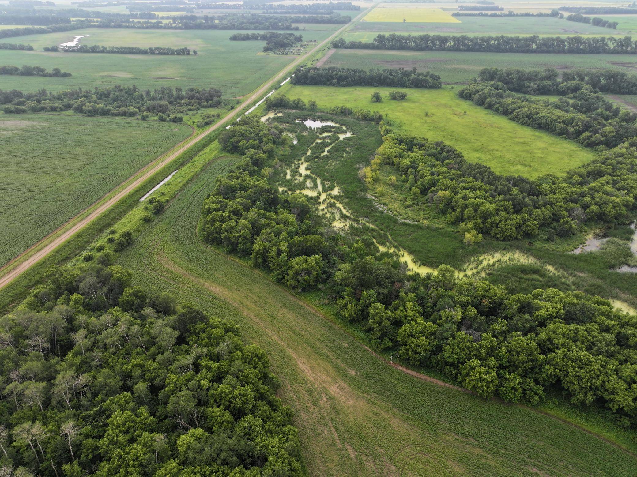 103rd 103rd St NE, Walhalla, ND 58282