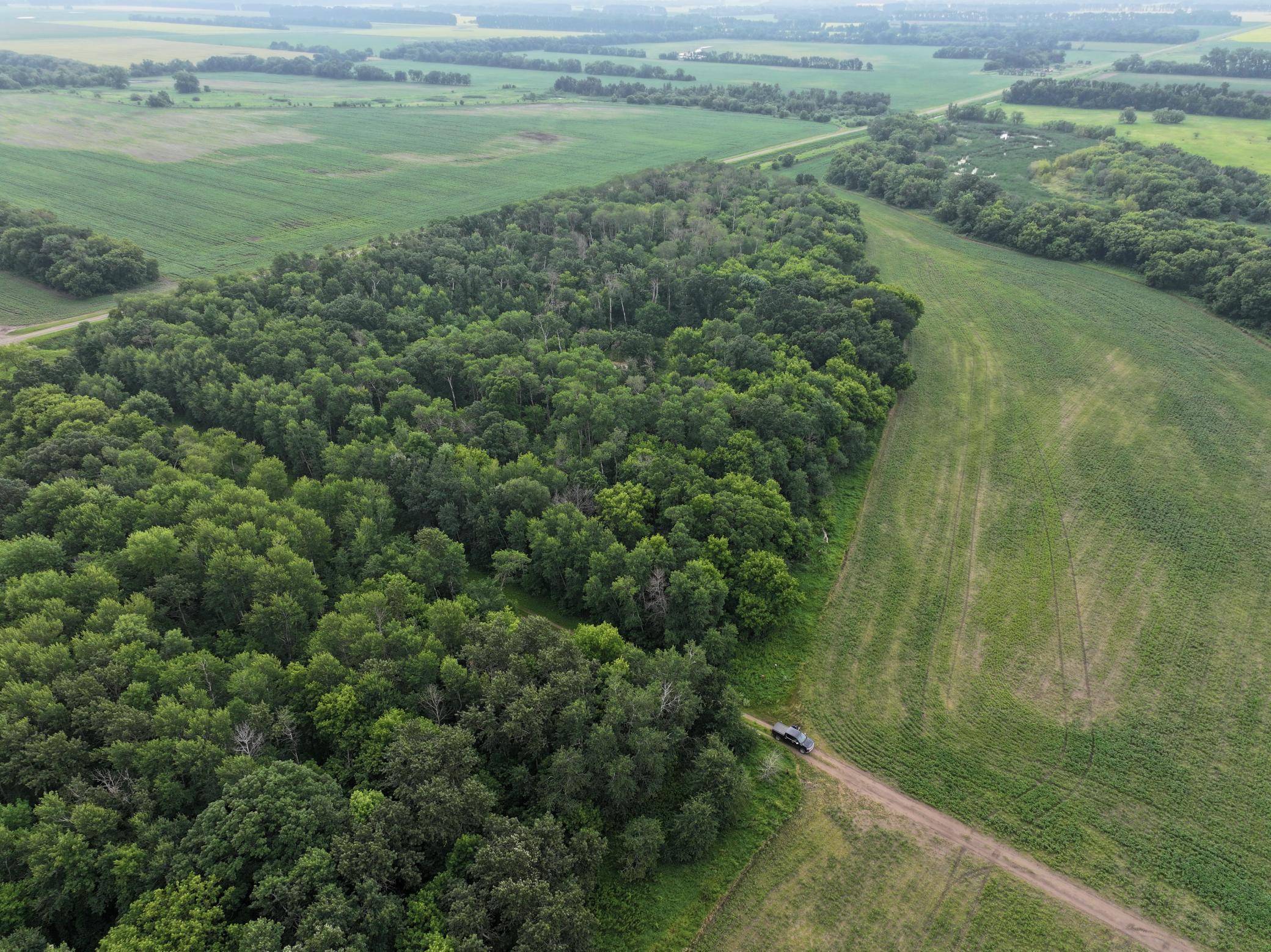 103rd 103rd St NE, Walhalla, ND 58282