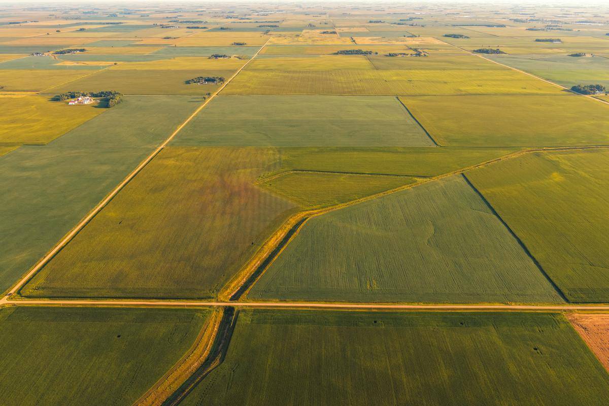 TBD 250th ST, Alberta, MN 56207