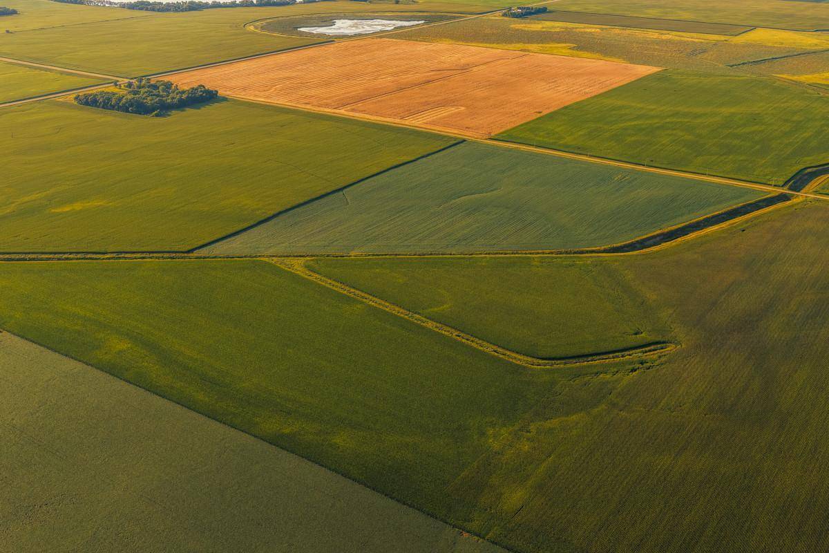 TBD 250th ST, Alberta, MN 56207