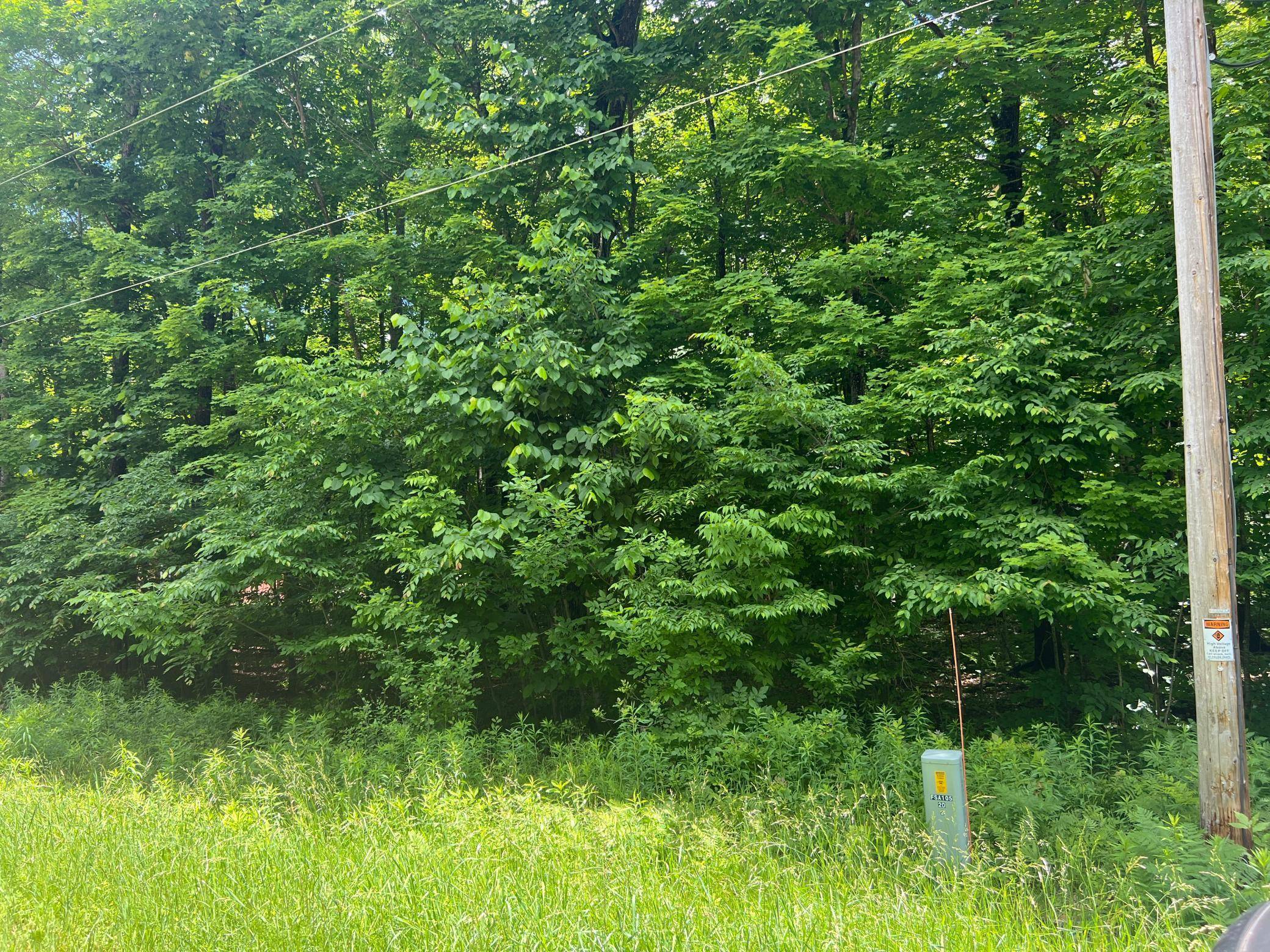 TBD 28 1/4 ST, Birchwood, WI 54817