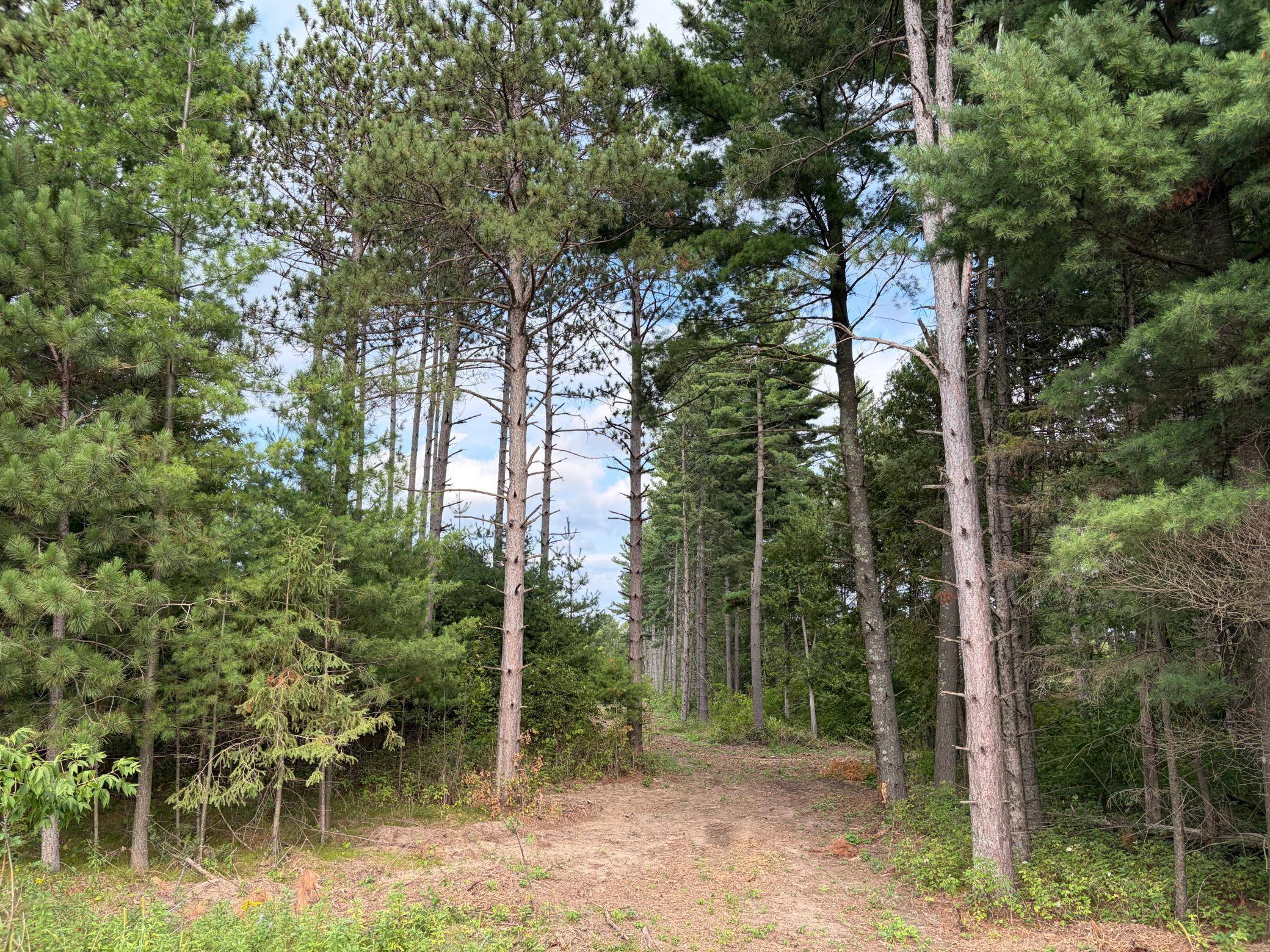 (Lot 5) TBD Tulip ST NW, Stanchfield, MN 55080