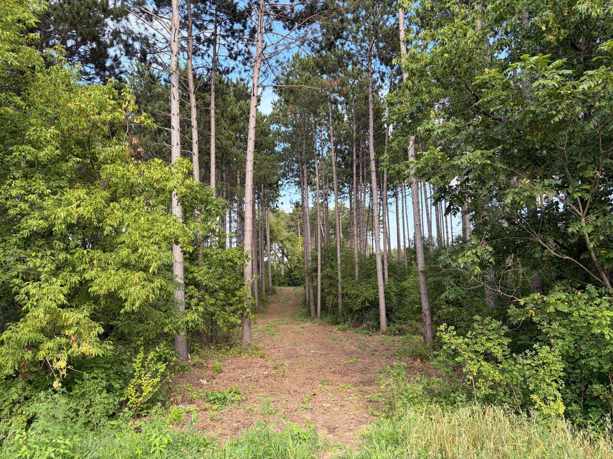 (Lot 6) TBD Tulip ST NW, Stanchfield, MN 55080