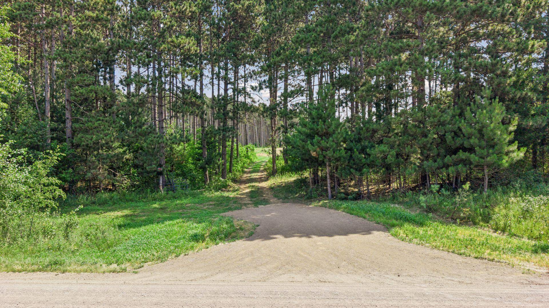 (Lot 7) TBD Tulip ST NW, Stanchfield, MN 55080