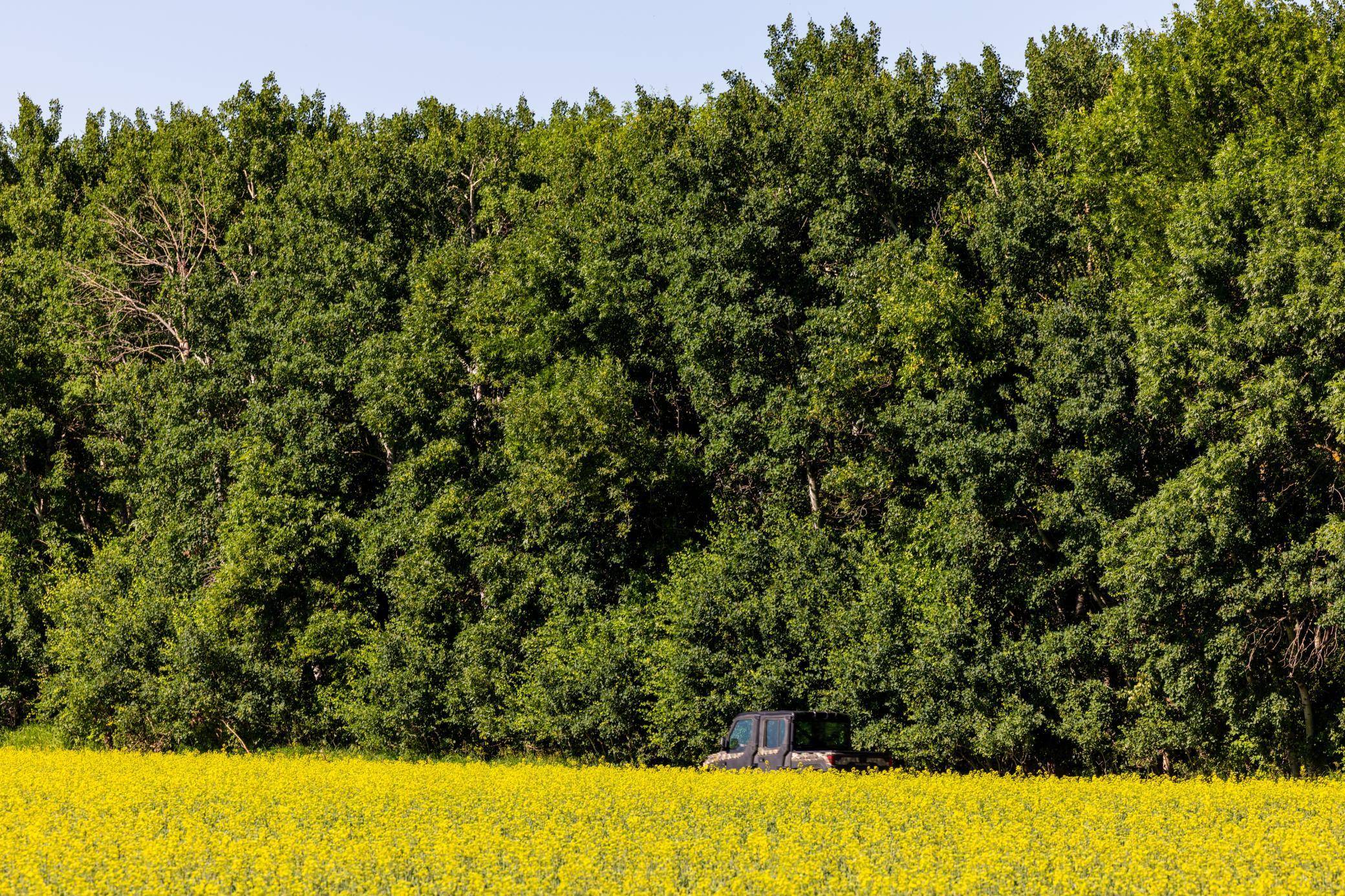 TBD Lake RD, Bottineau, ND 58318