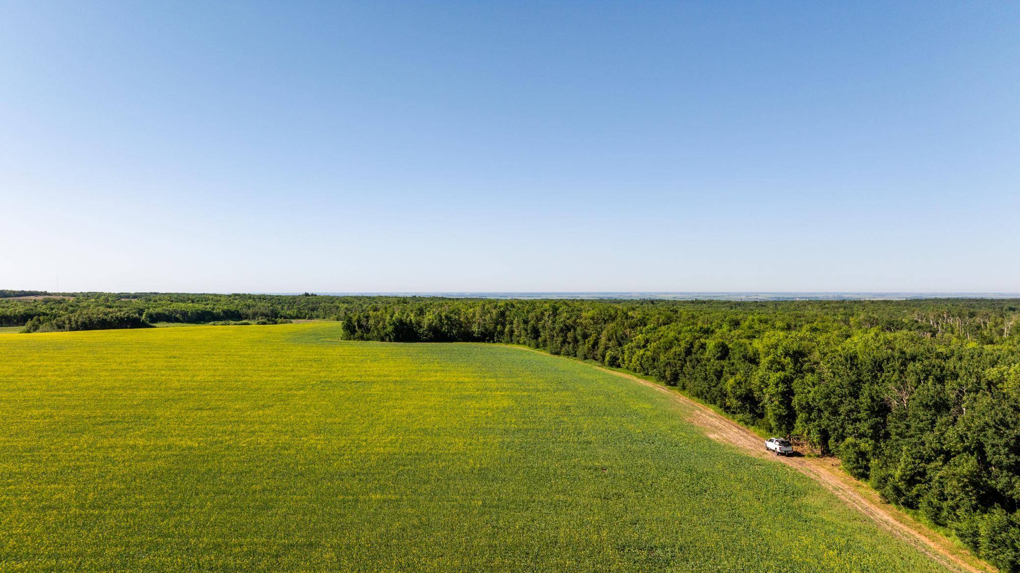 TBD Lake RD, Bottineau, ND 58318
