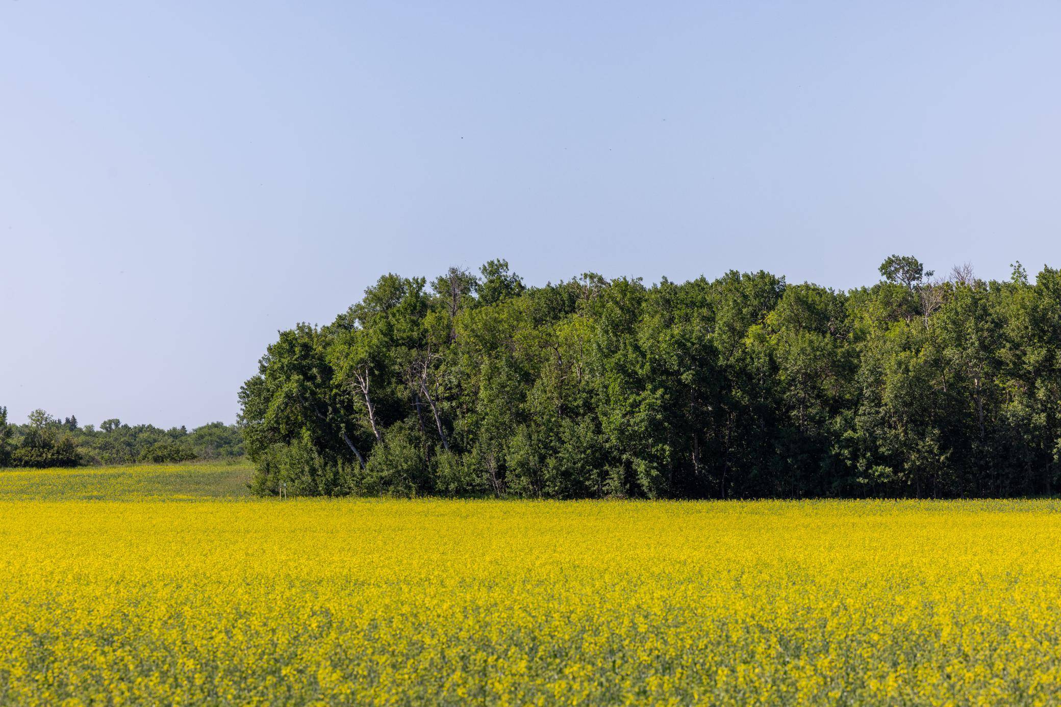 TBD Lake RD, Bottineau, ND 58318