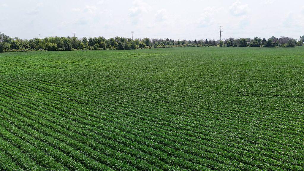 TBD TBD, Belle Plaine, MN 56011