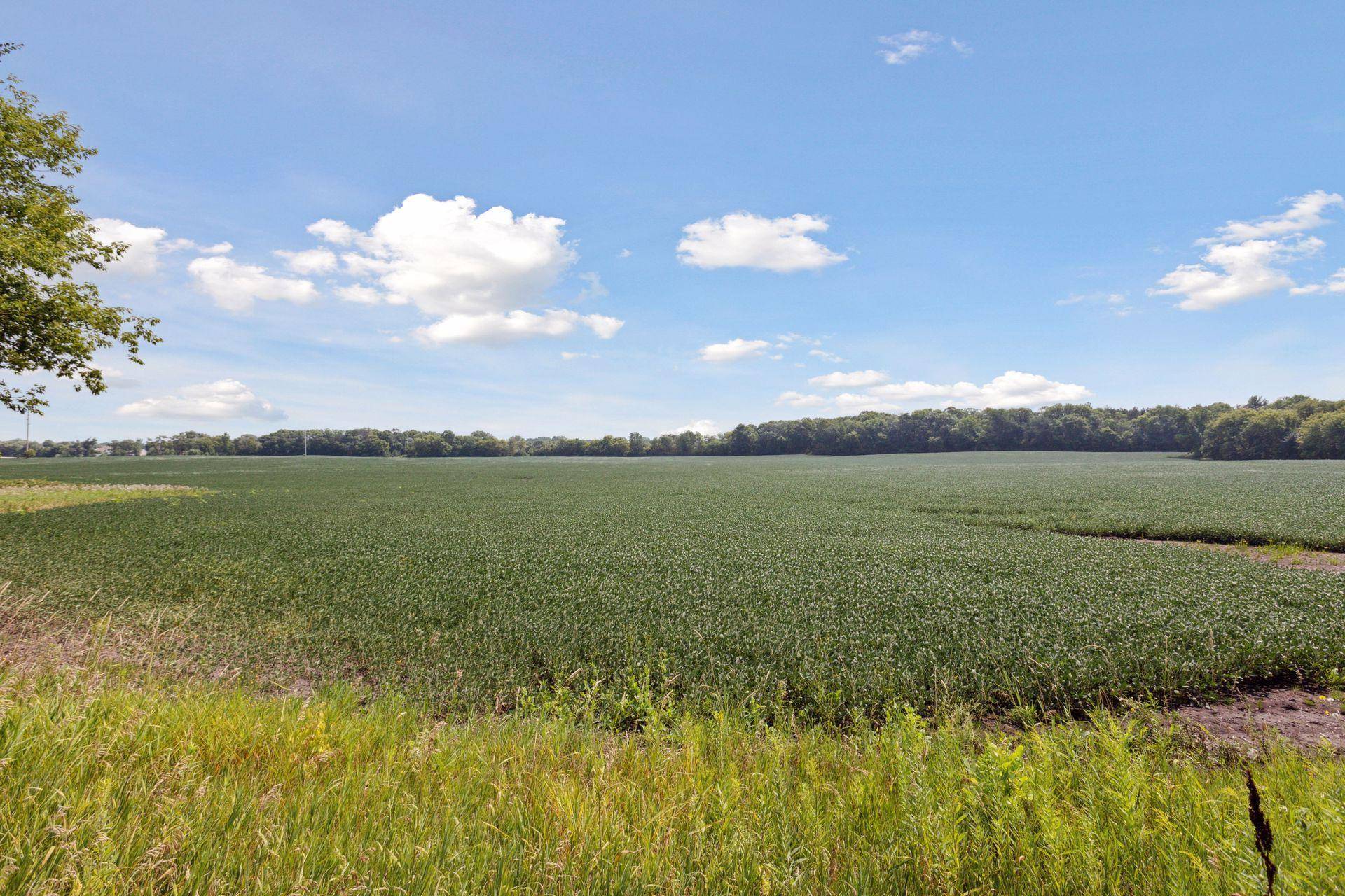 24x4 Holy Name DR, Medina, MN 55340