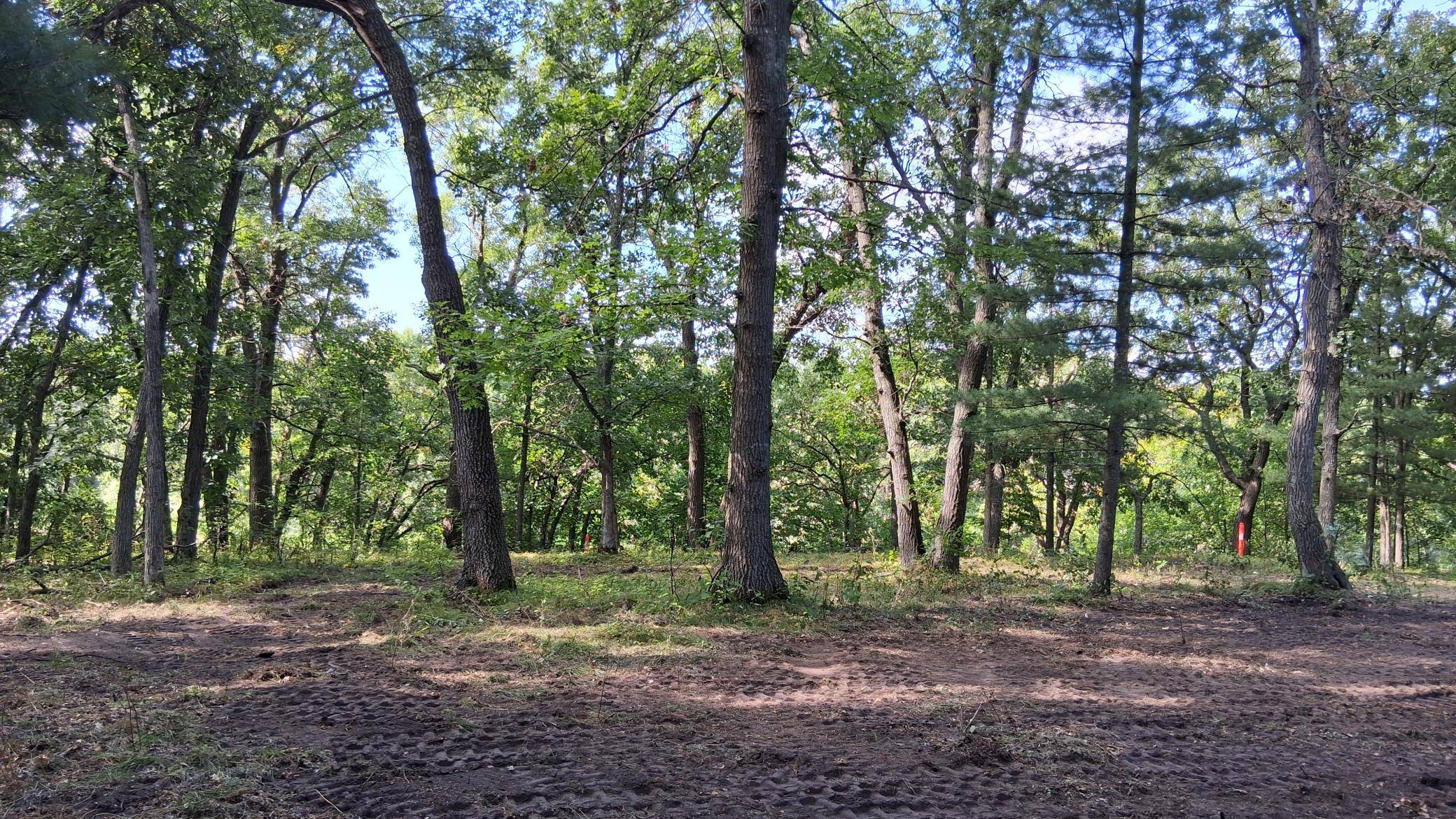 38869 Odin CT, Browerville, MN 56438