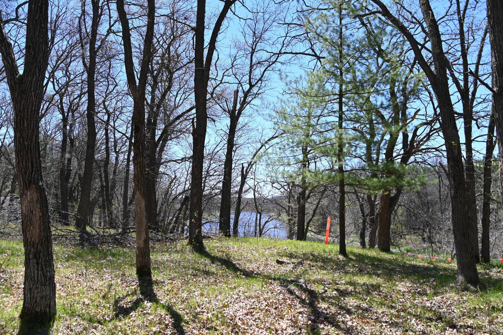 38903 Odin CT, Browerville, MN 56438